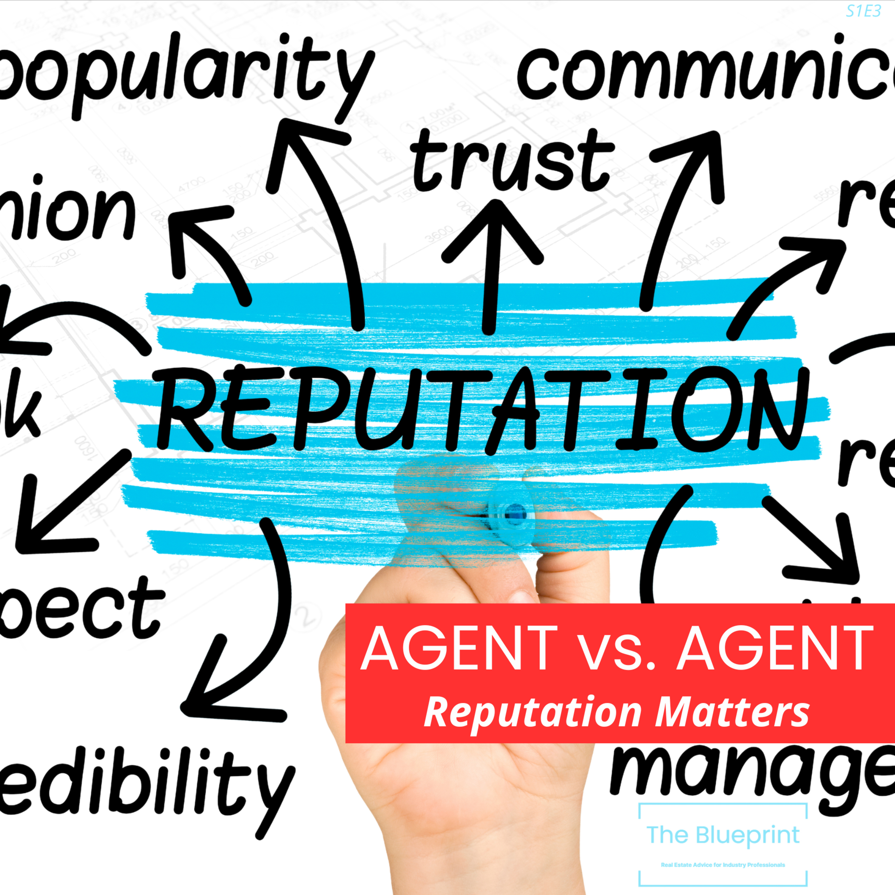 The Blueprint: Real Estate Advice for Industry Professionals