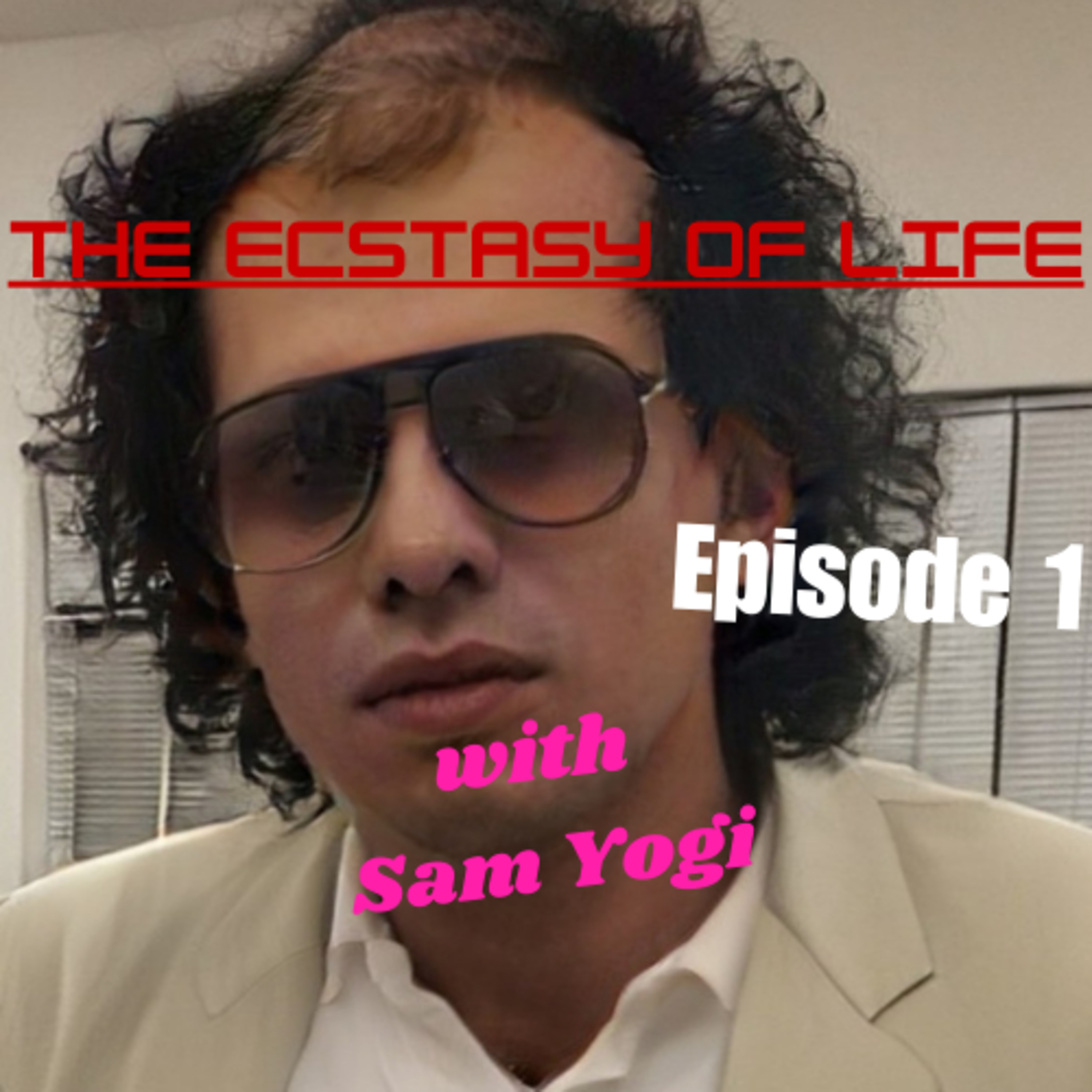 Ep. 1 - The Ecstasy of Life with Sam Yogi - On Incompleteness episode artwork