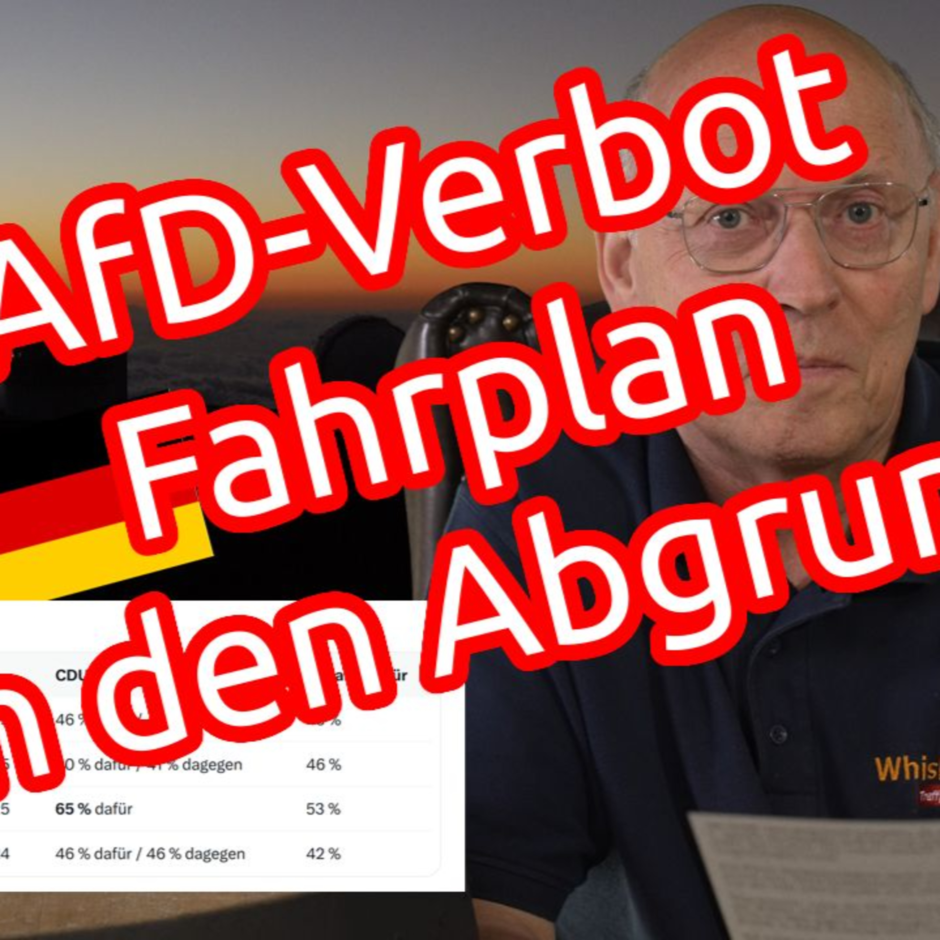 AfD-Verbot anders betrachtet - Ökosozialistische Mehrheiten führen zum Ende der Demokratie