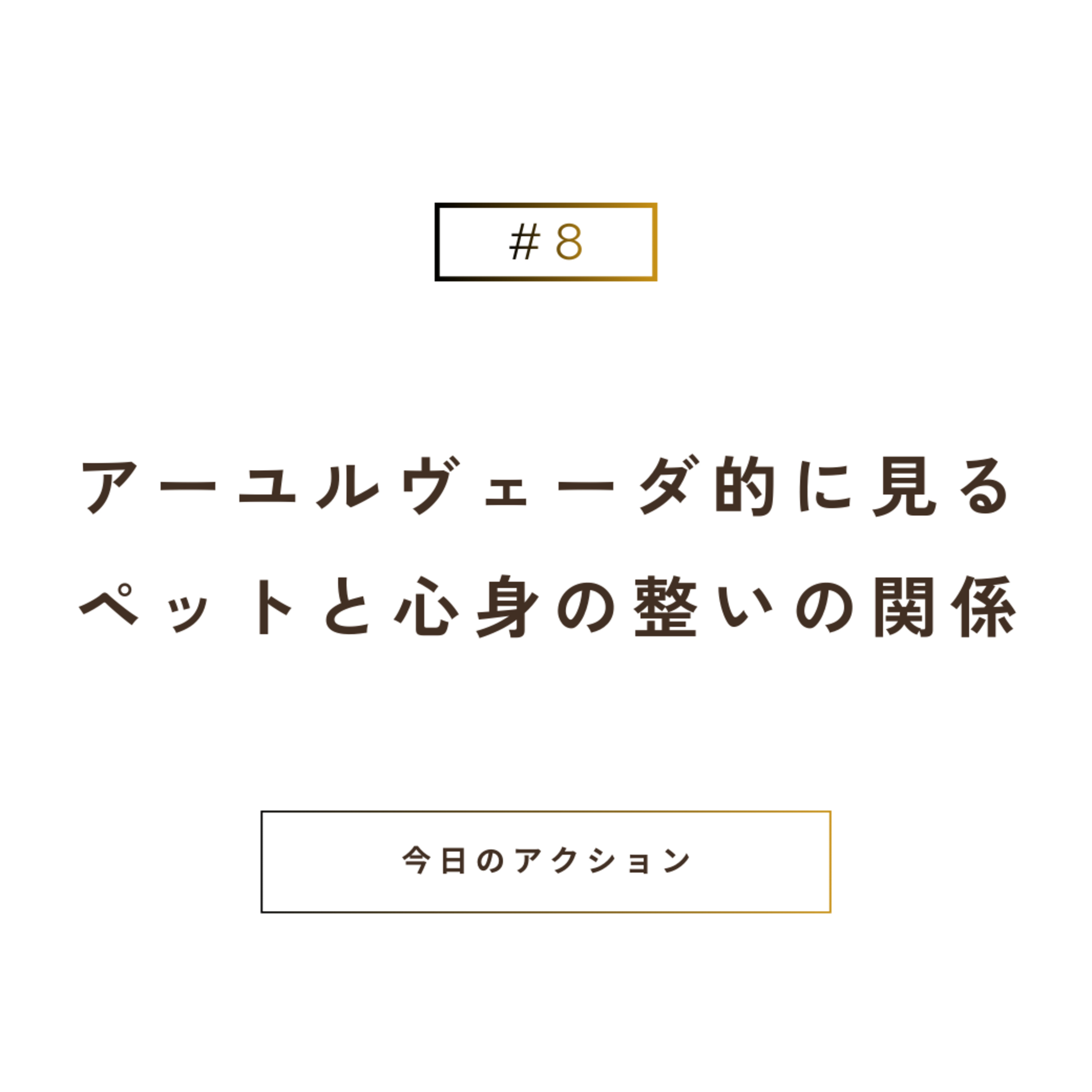 アーユルヴェーダ的に見るペットと“心身の整い”の関係 episode artwork