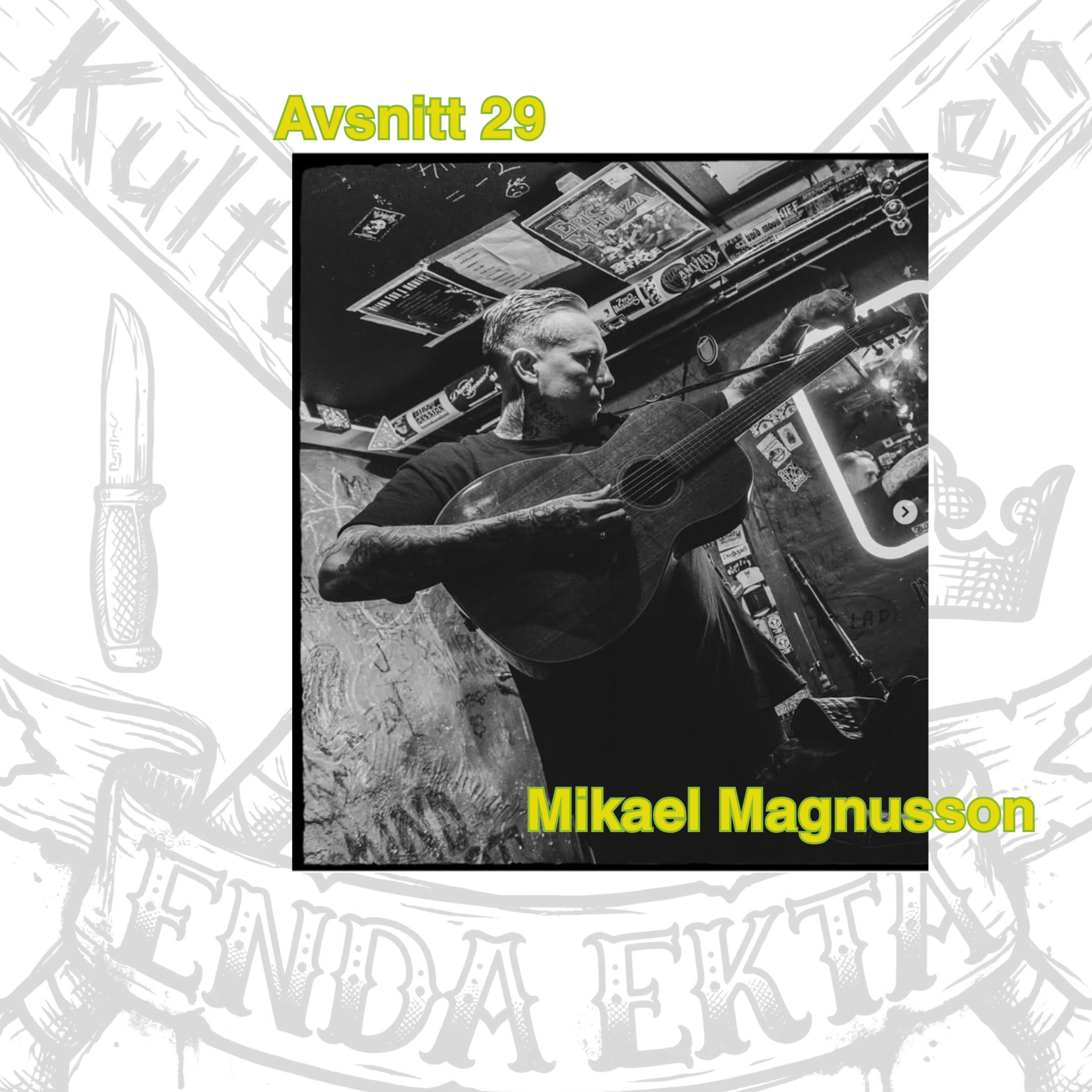 29 - Mikael Magnusson, Townes Van Zandt, Ted Russell Kamp, Skateboard & Veckans Kulturupplevelse episode artwork