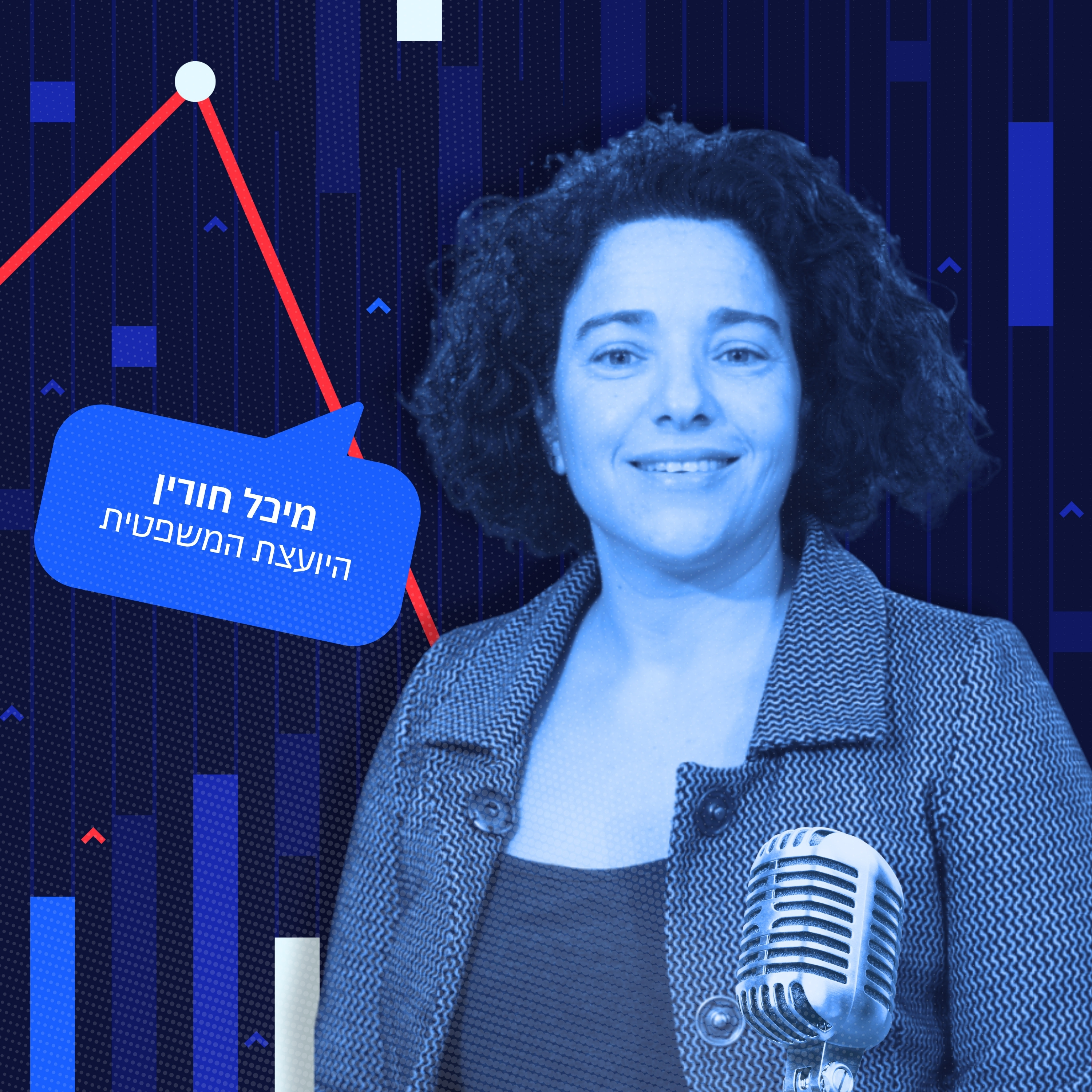 חוק וסדר – על החובה להשיב לסקרי הלמ"ס והשמירה על הפרטיות episode artwork