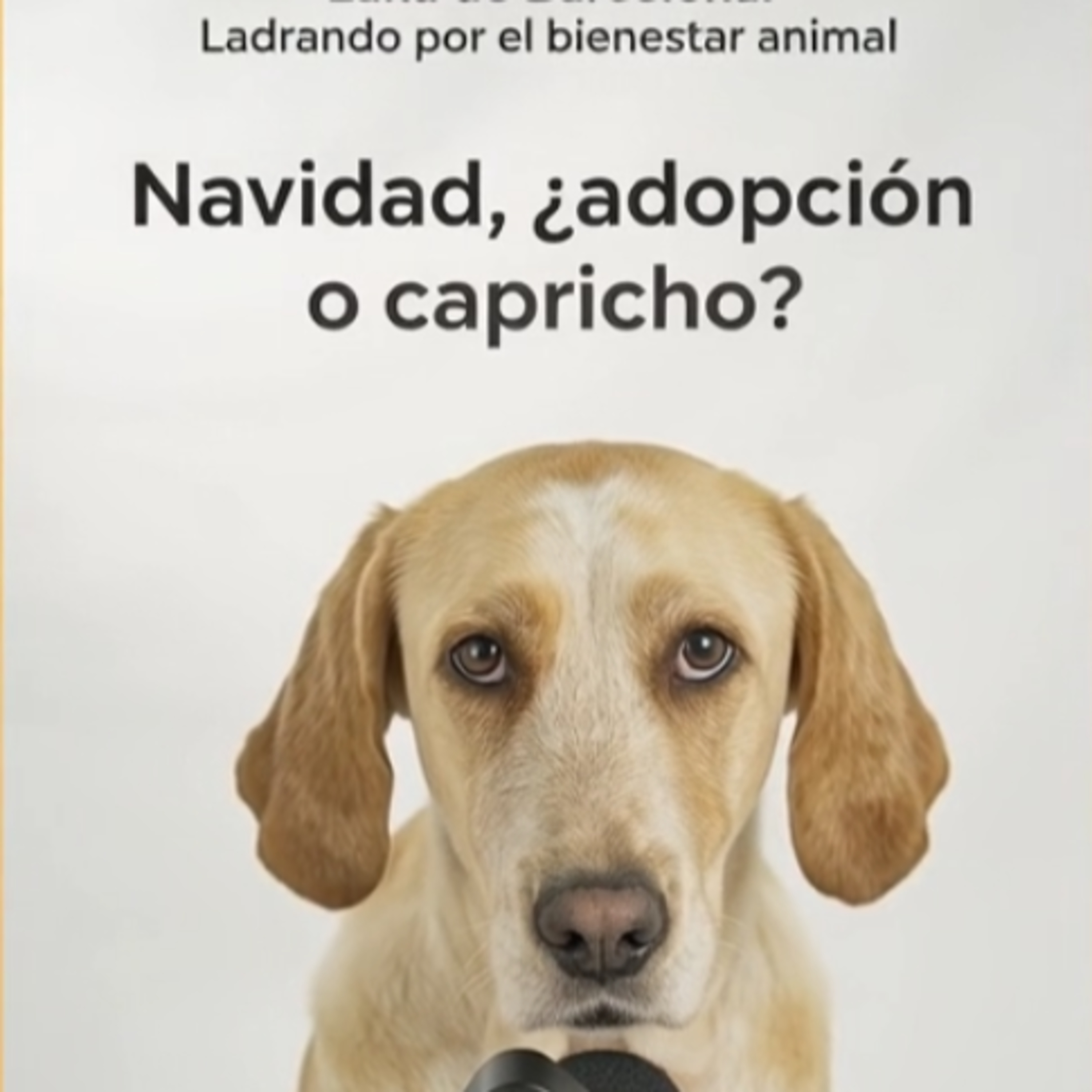 Navidad, ¿Adopción o Capricho? | Compromiso Real con un Perro episode artwork