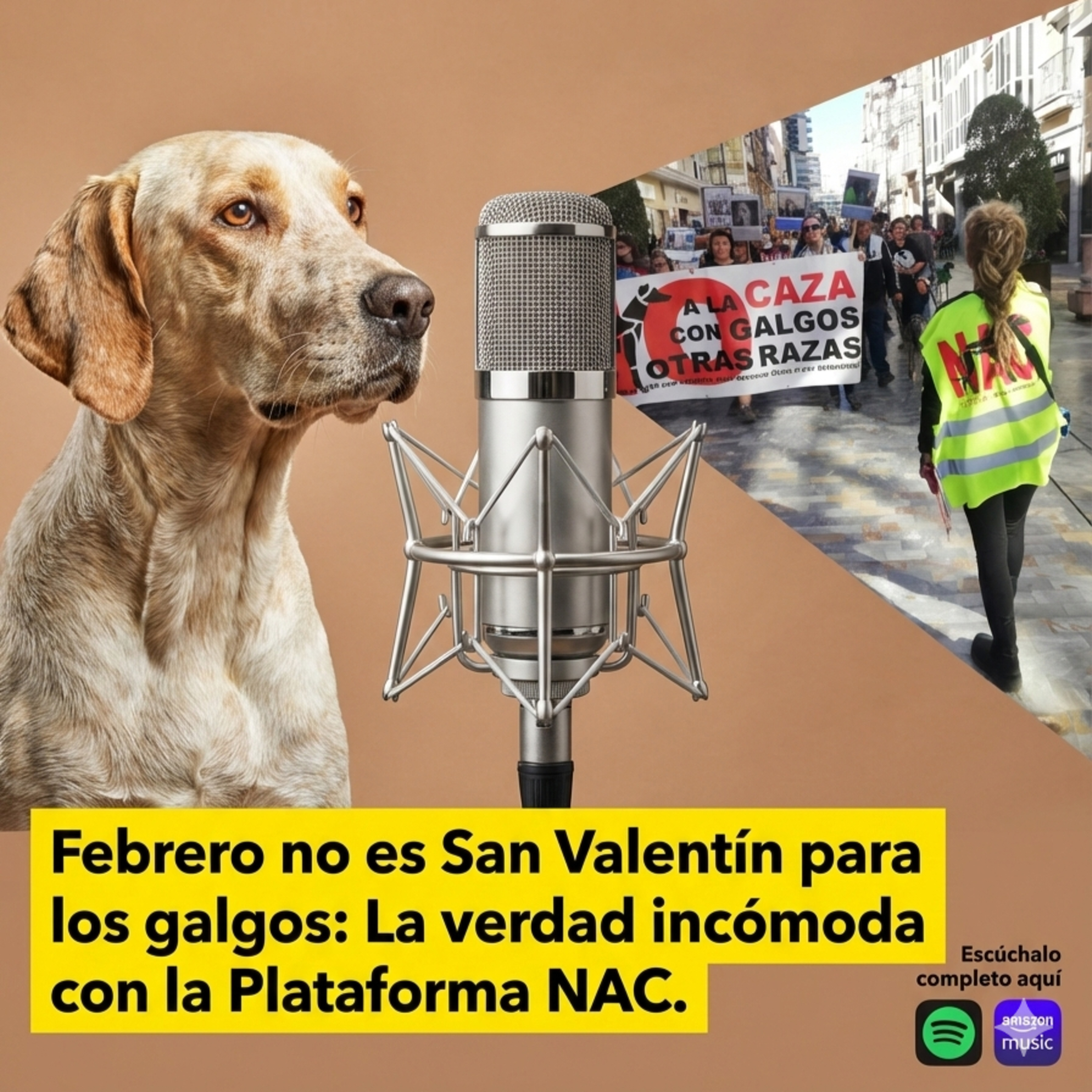 Febrero no es San Valentín para los galgos: La verdad incómoda con la Plataforma NAC episode artwork