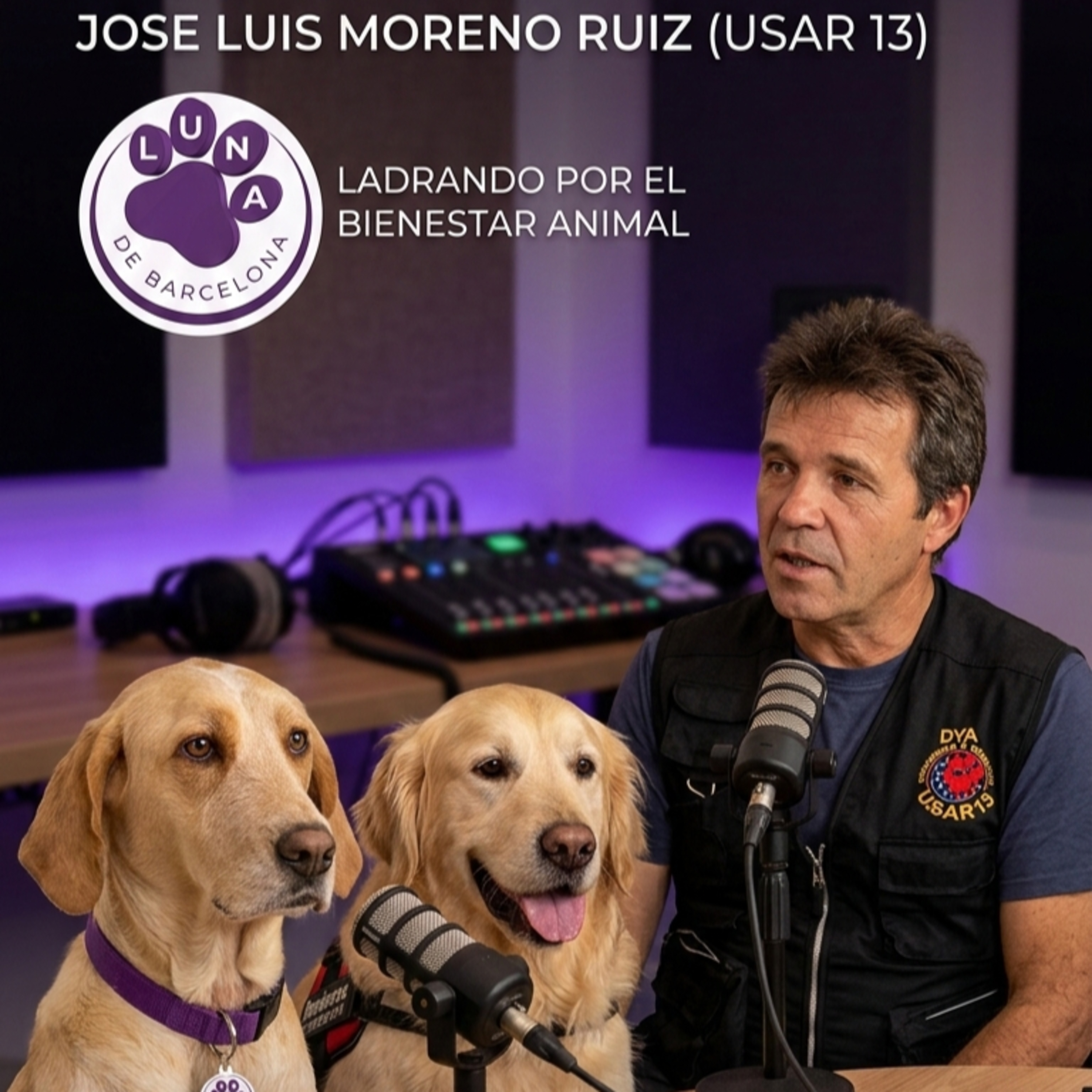 Emergencias y perros: prevención que salva vidas episode artwork