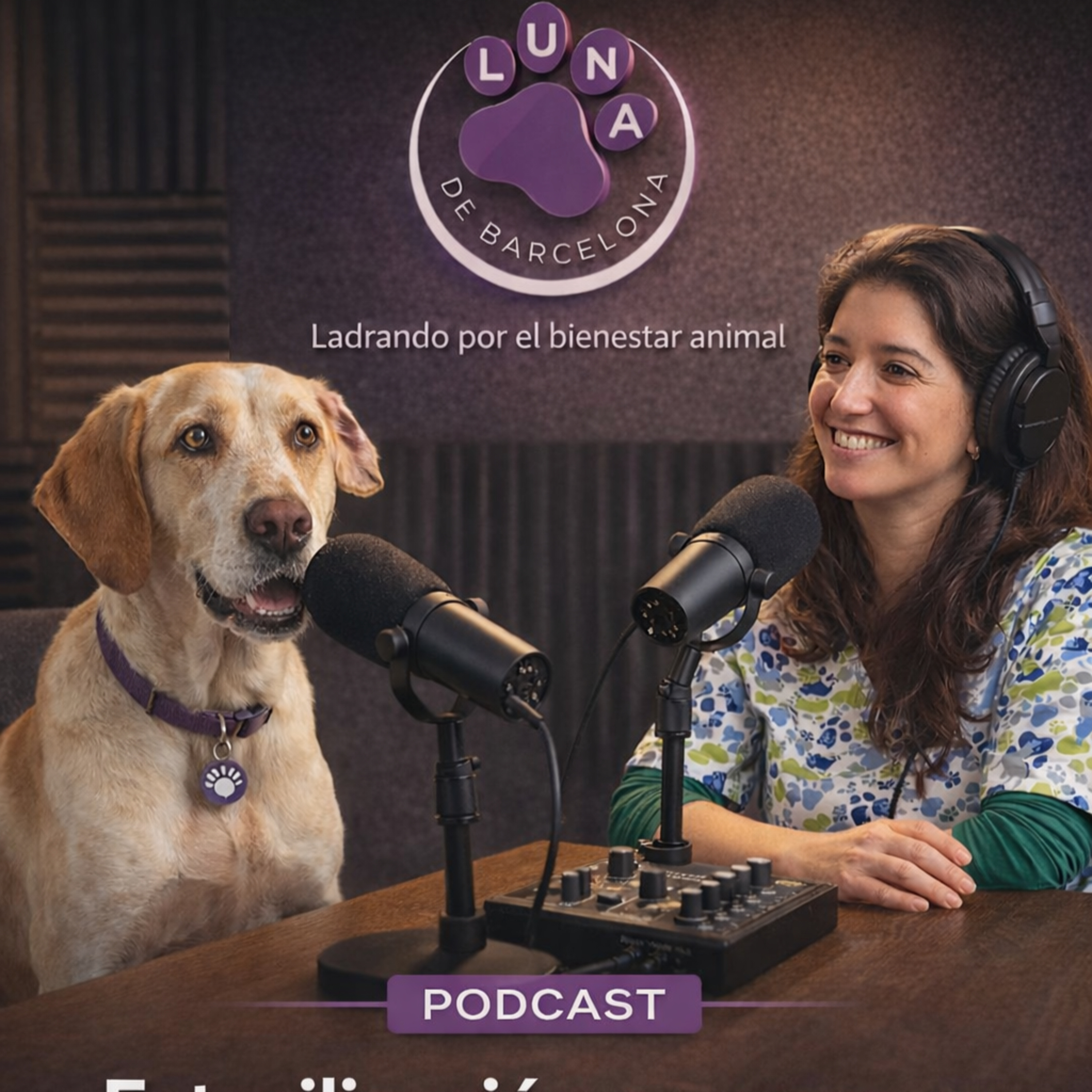 🐾 ¿Existe realmente una edad ideal para esterilizar a un perro? episode artwork