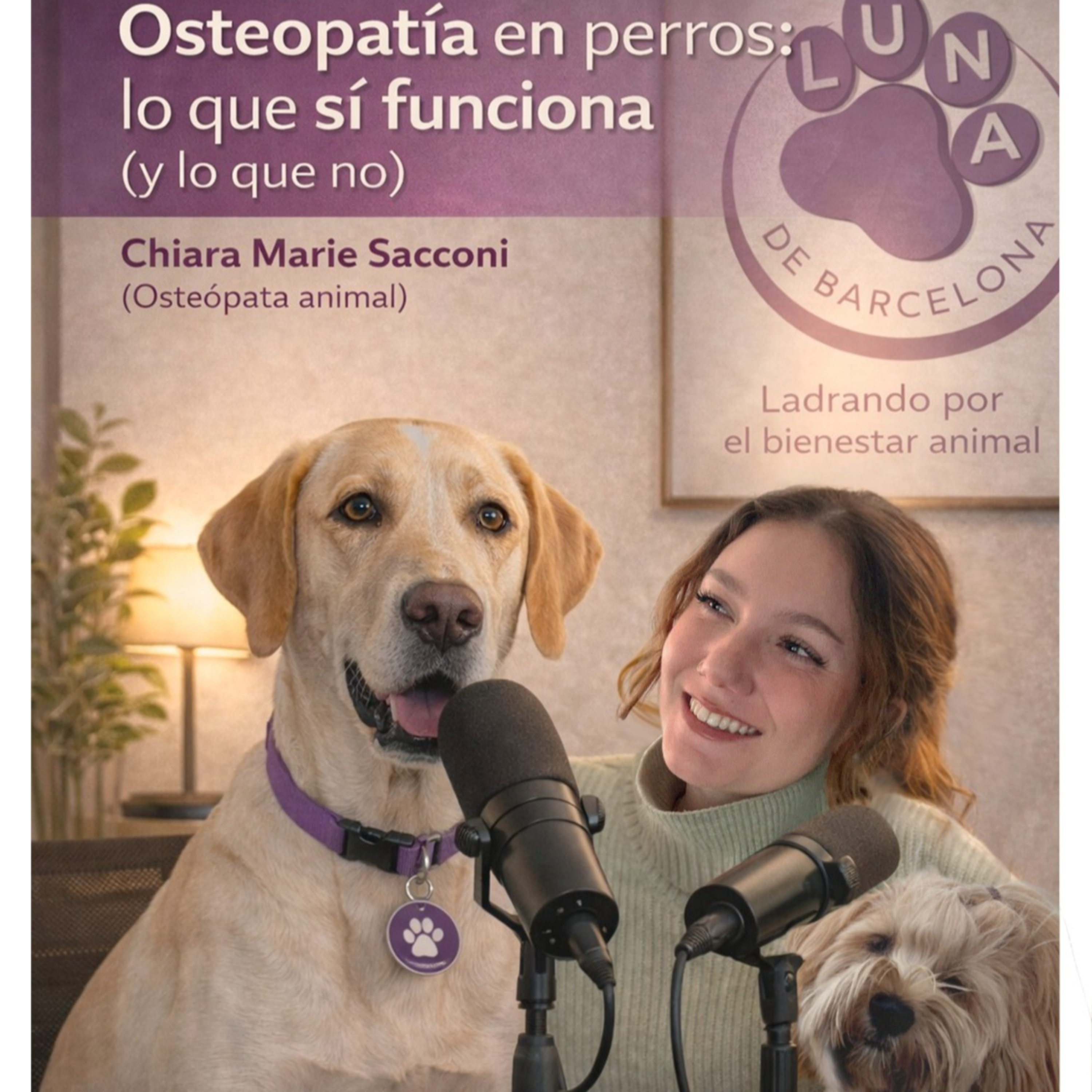 ¿Te gustaría entender mejor el cuerpo de tu perro… más allá de lo evidente? episode artwork