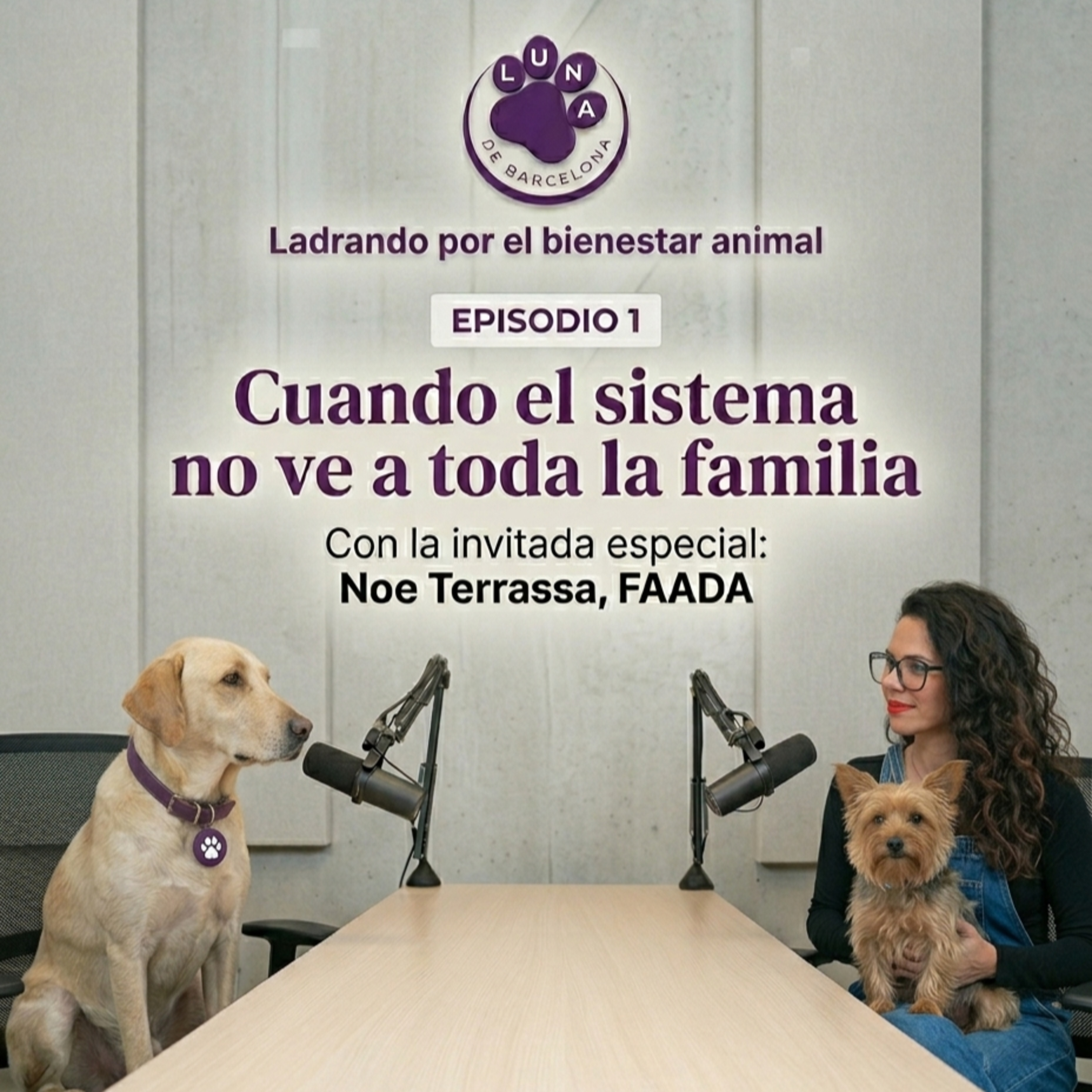 Cuando el sistema no ve a toda la familia (Parte 1) episode artwork