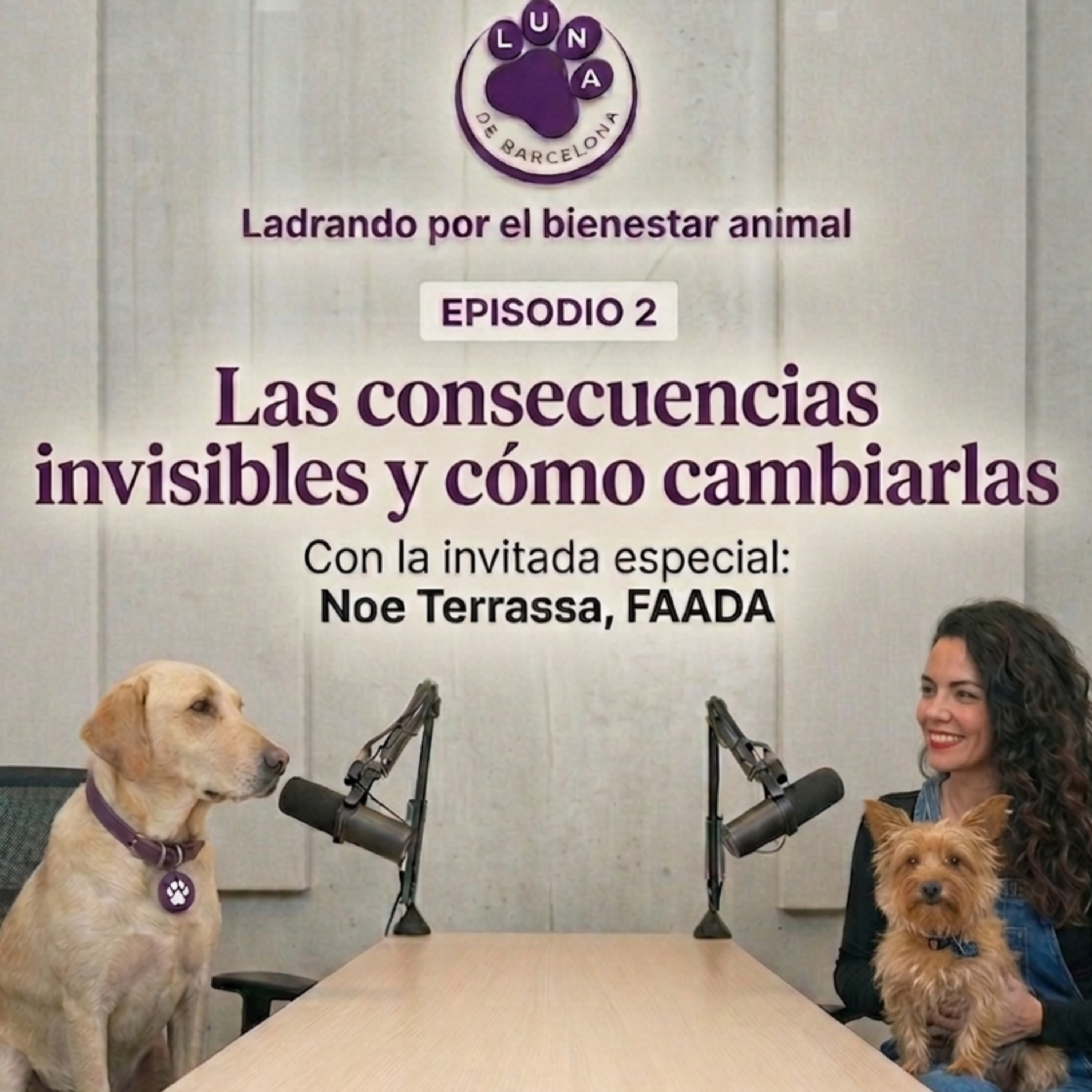 Cuando el sistema sí funciona (Parte 2) | Soluciones reales en bienestar animal episode artwork