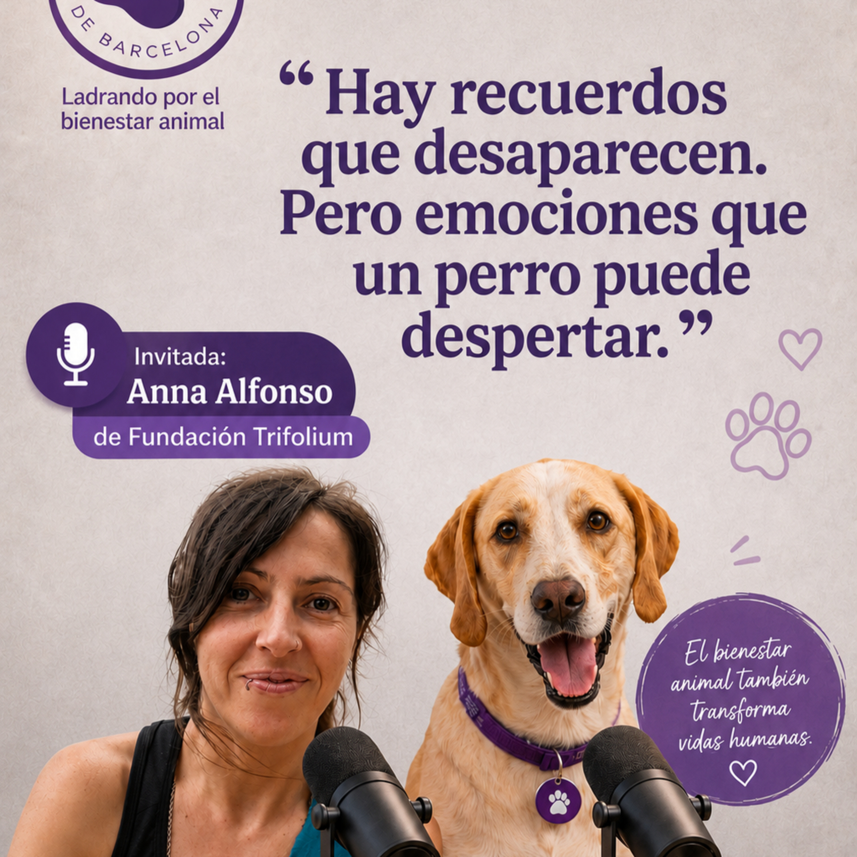CUANDO UN PERRO DESPIERTA UNA SONRISA episode artwork