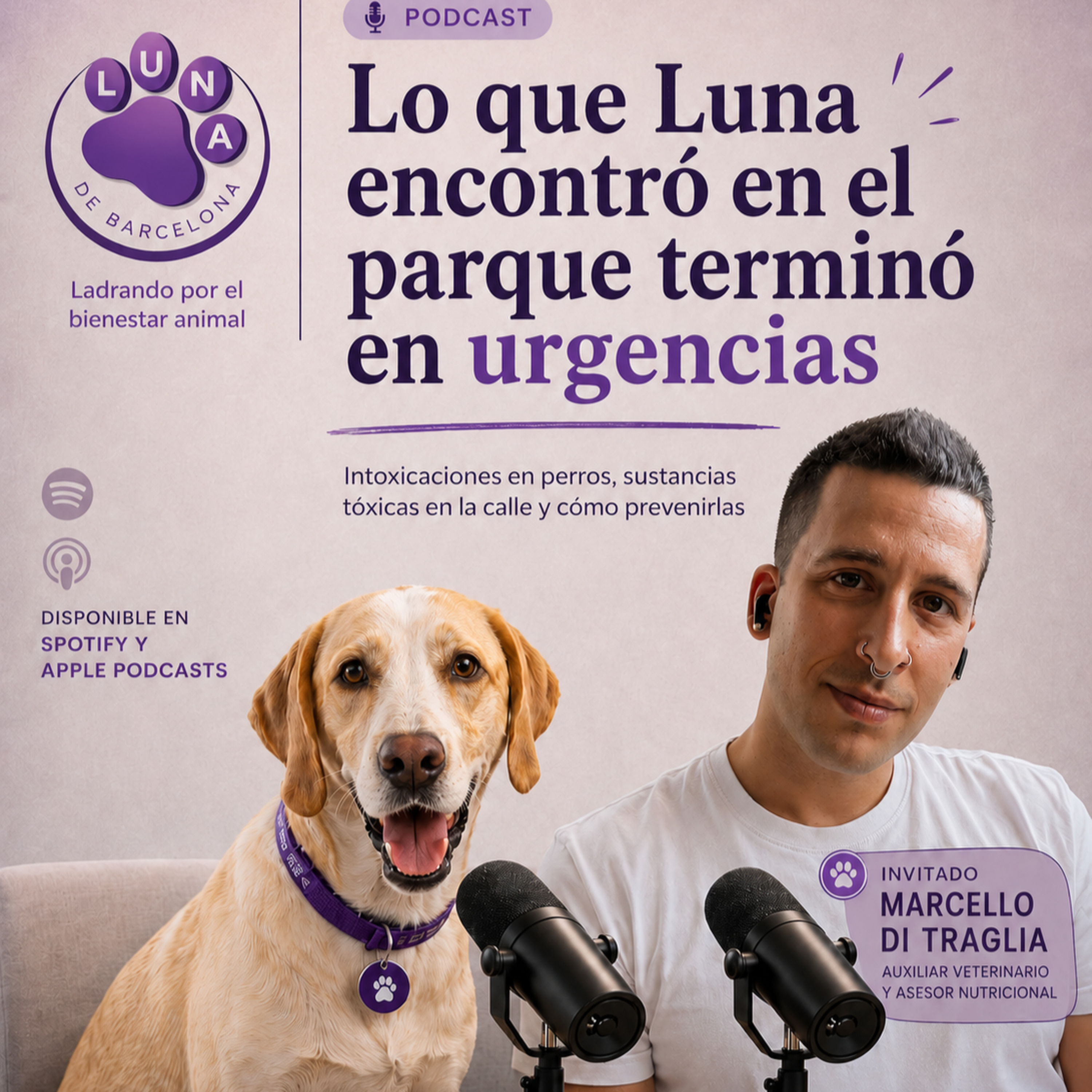 Lo que Luna encontró en un parque de Barcelona terminó en urgencias veterinarias. episode artwork