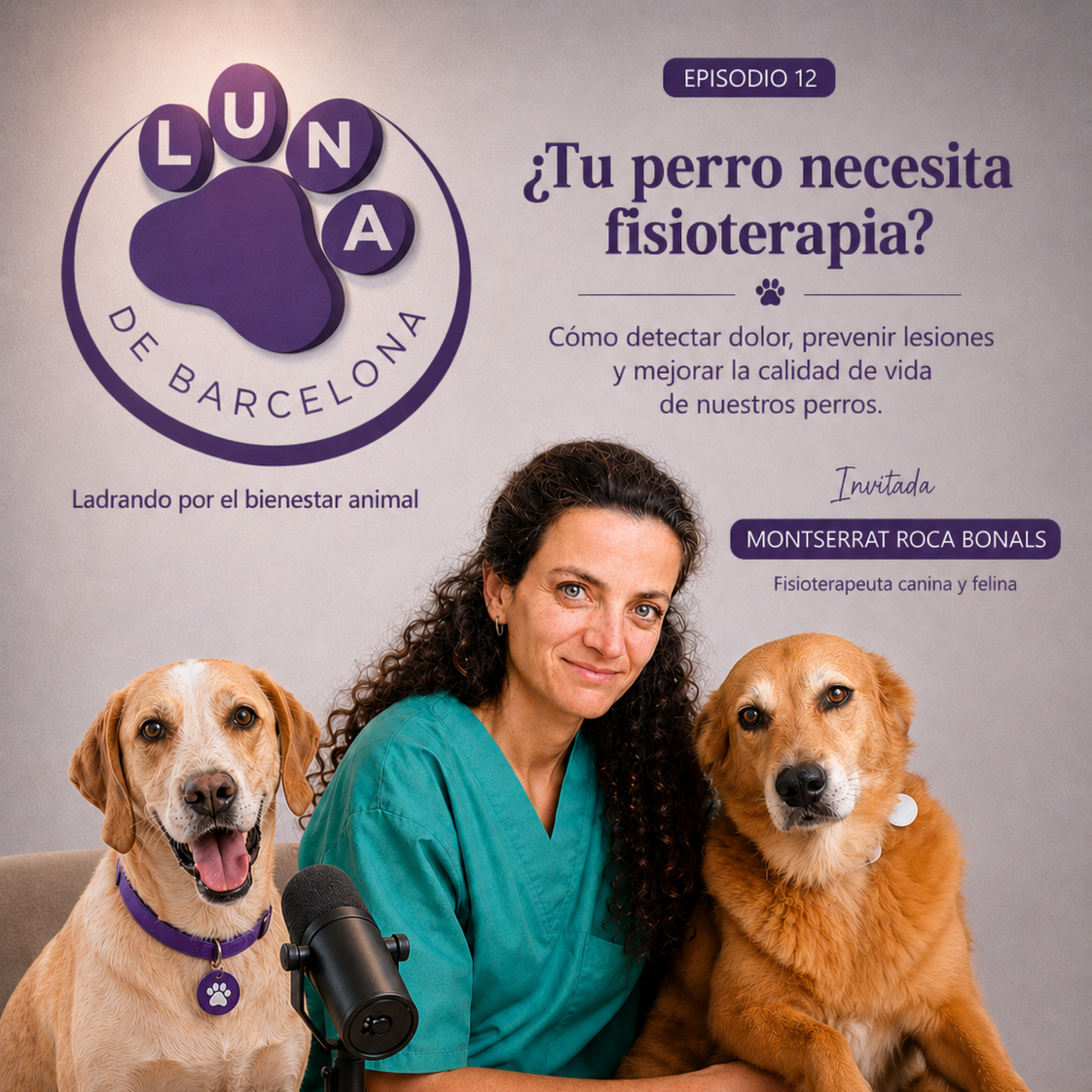 🐾 ¿Tu perro necesita fisioterapia? episode artwork