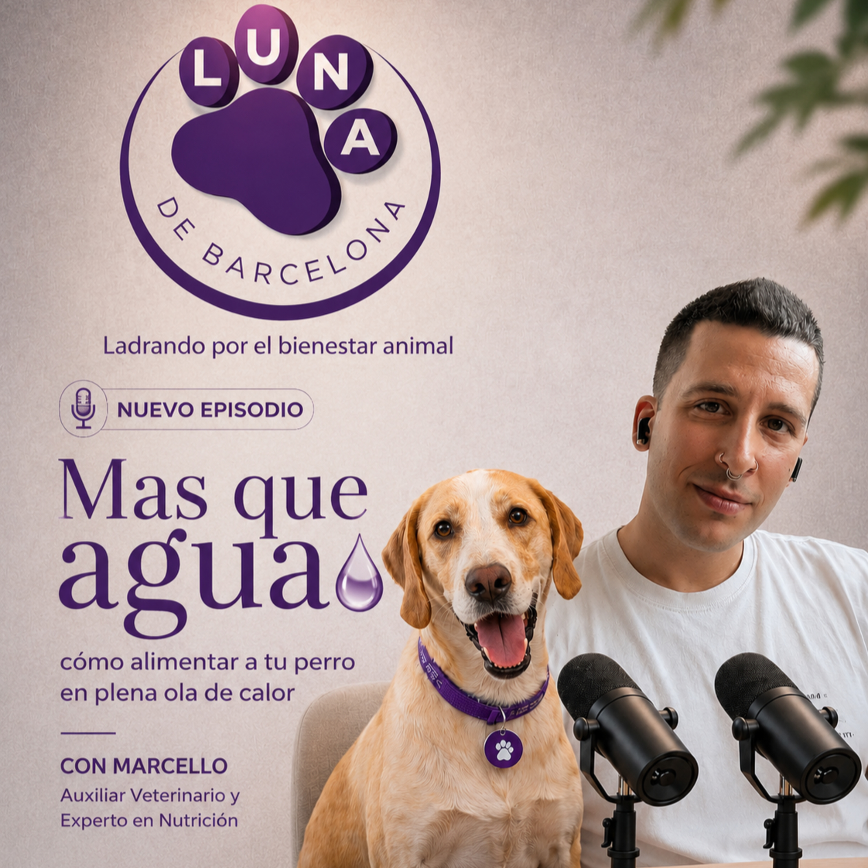 🎙️ Más que agua: cómo alimentar a tu perro en plena ola de calor episode artwork