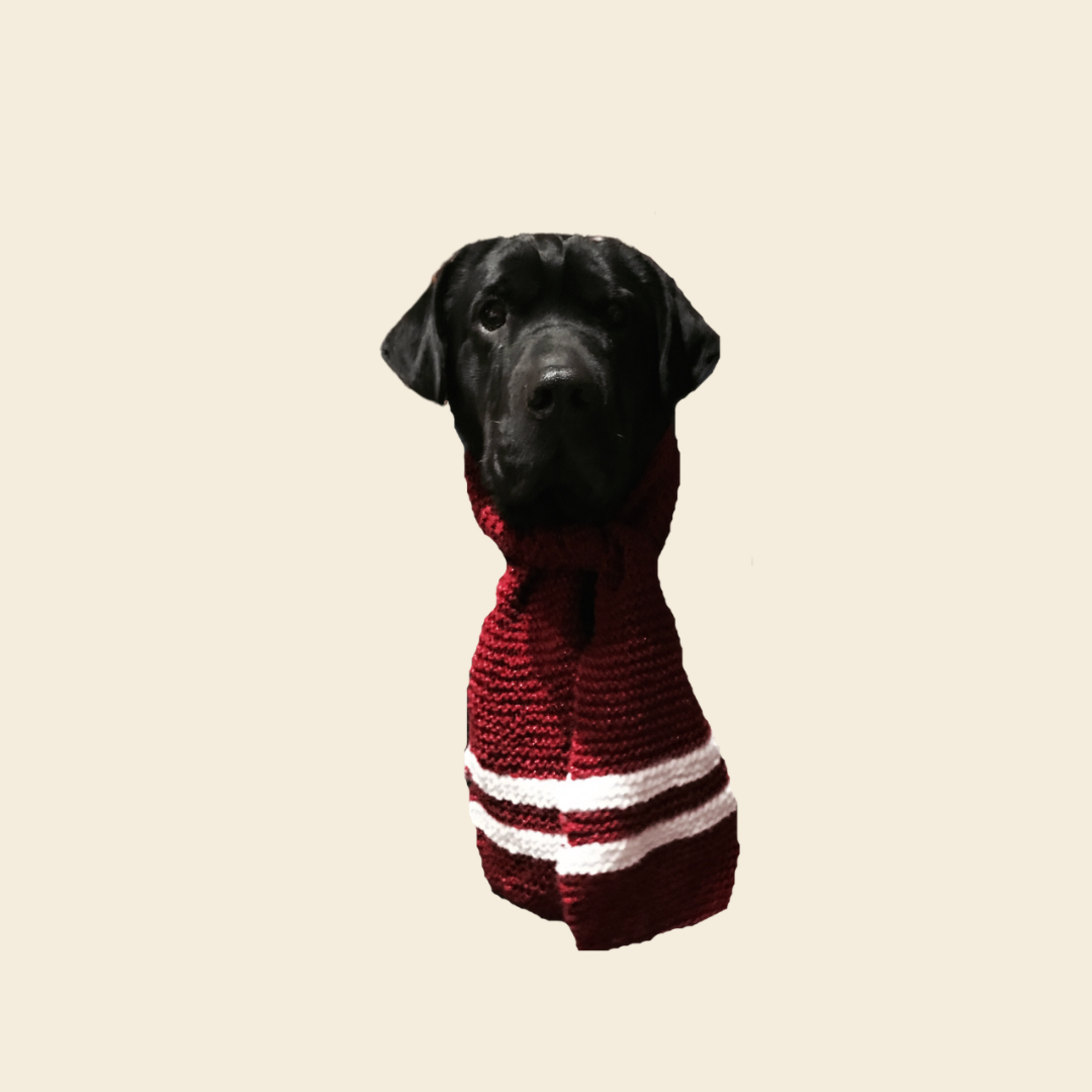 Seizoen 1 Aflevering 4: Over sokkenpatronen kiezen, de kersthond en anderstalige patronen