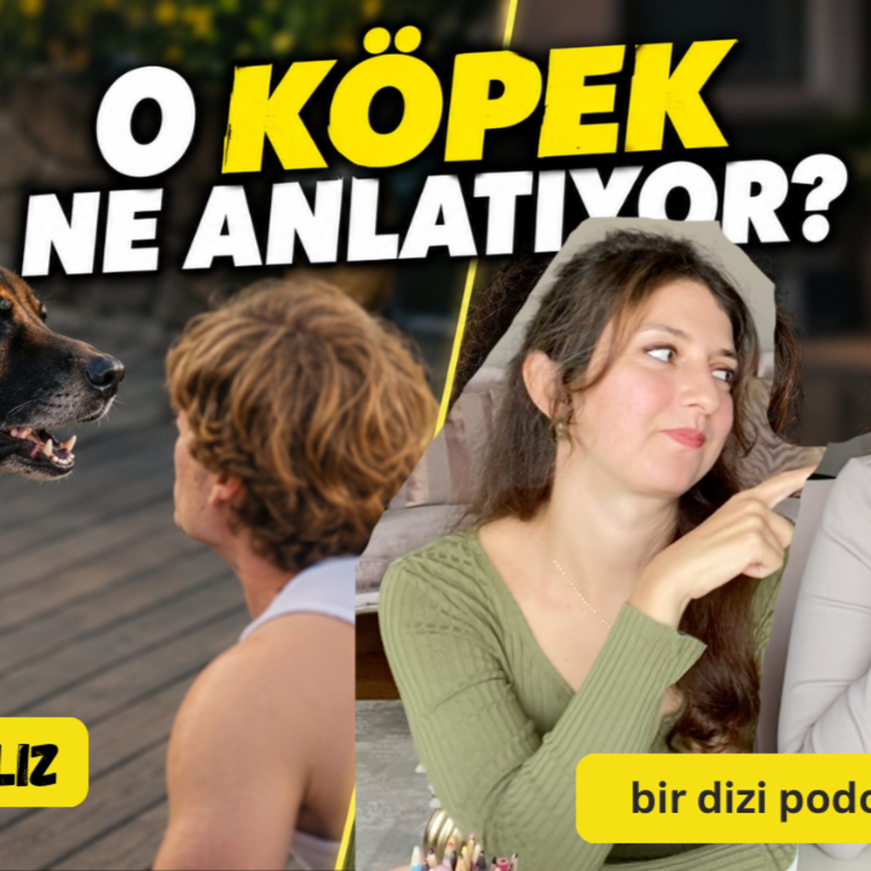 DAHA 17 KÖPEK SAHNESİ VE GİZLİ METAFORLAR!