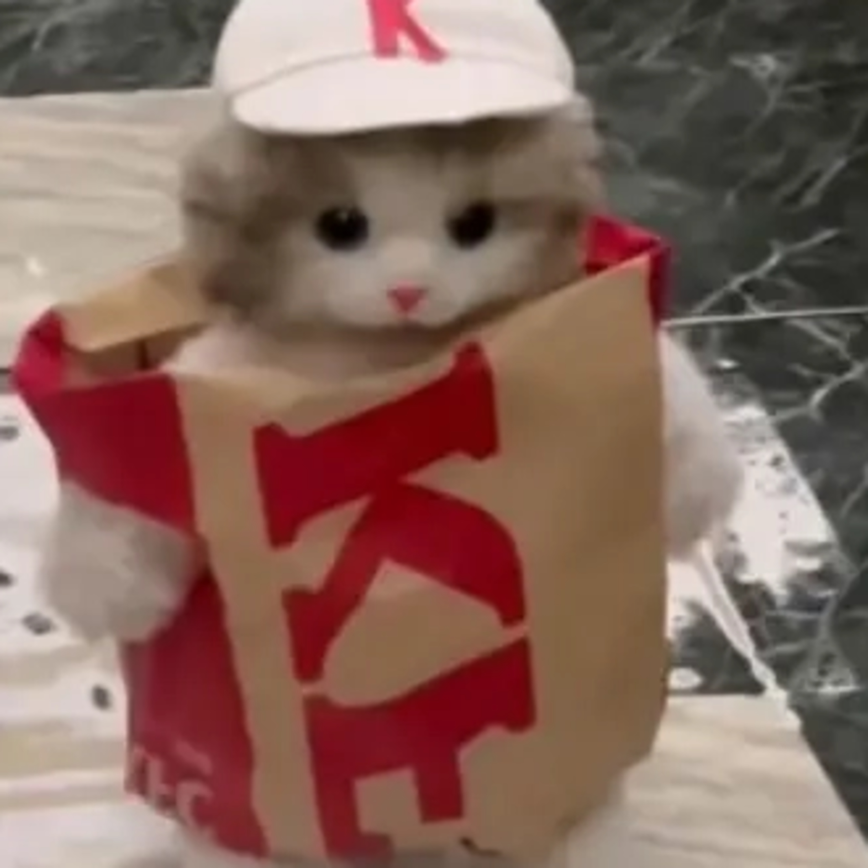 Petting your Submissive Needy Cat Boyfriend [Whimpering] [Ear Scratches] (Neko Bottom Boyfriend M4A ASMR)