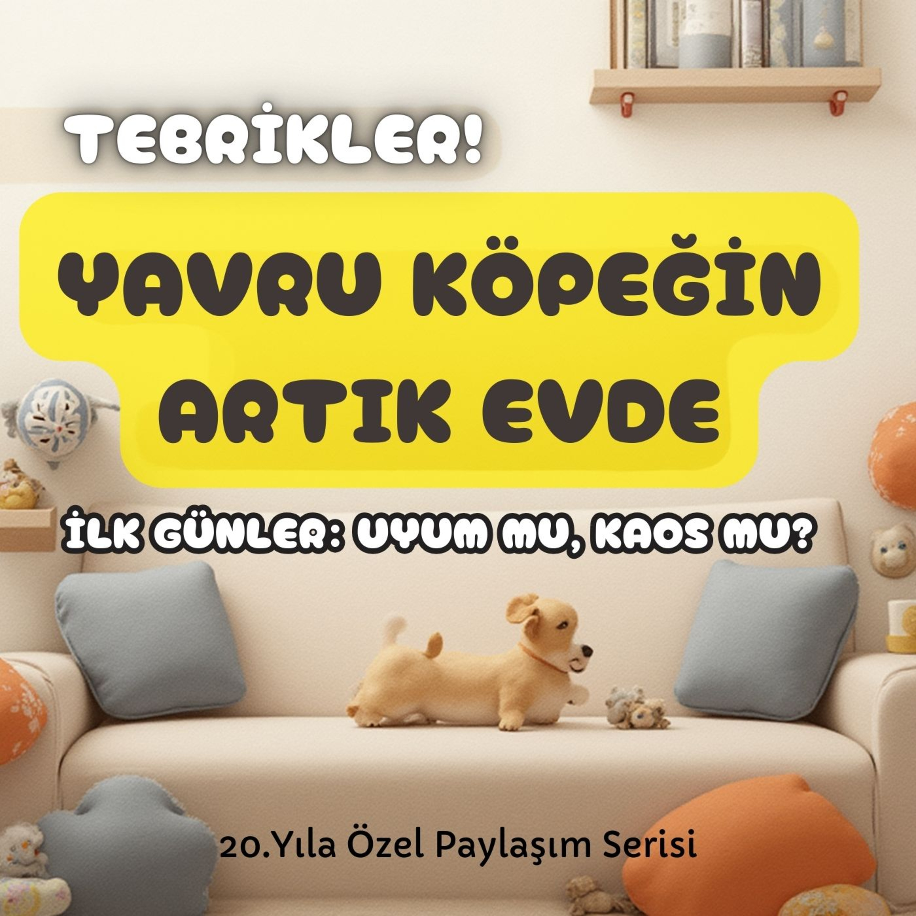 Tebrikler, Yavru Köpeğin Artık Evde” İlk günler: Kaos mu, uyum mu? episode artwork