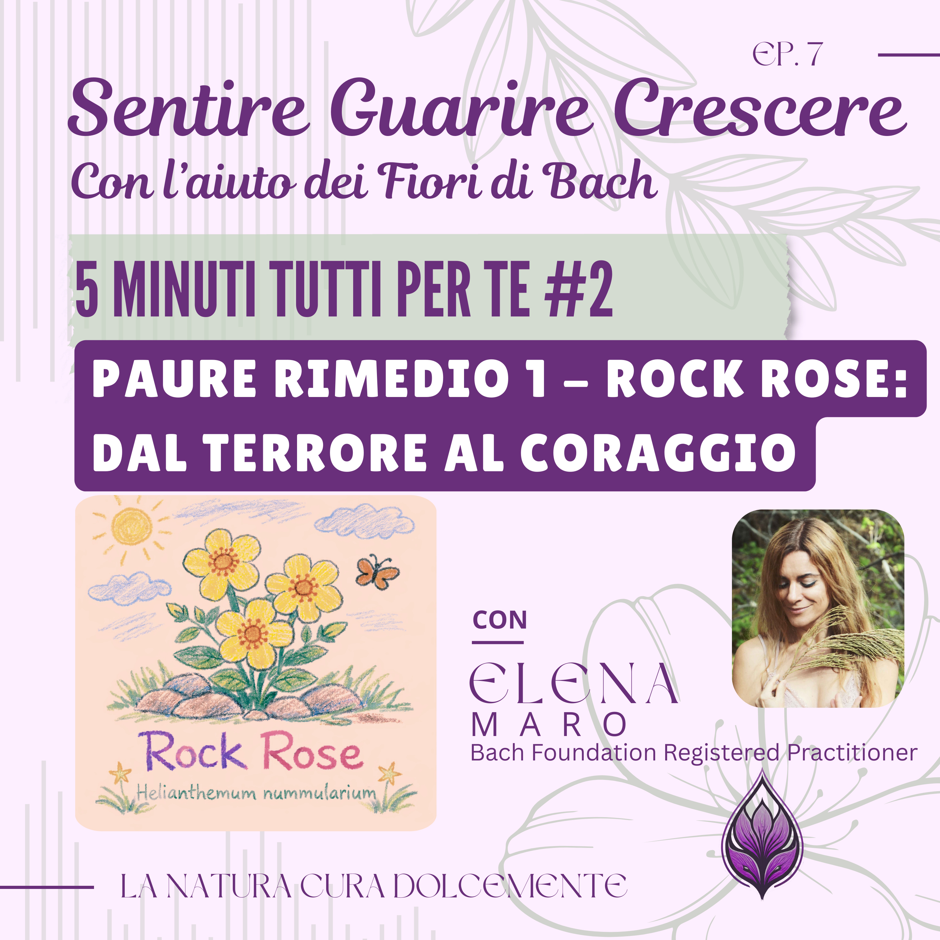 Rock Rose: dal terrore al coraggio episode artwork
