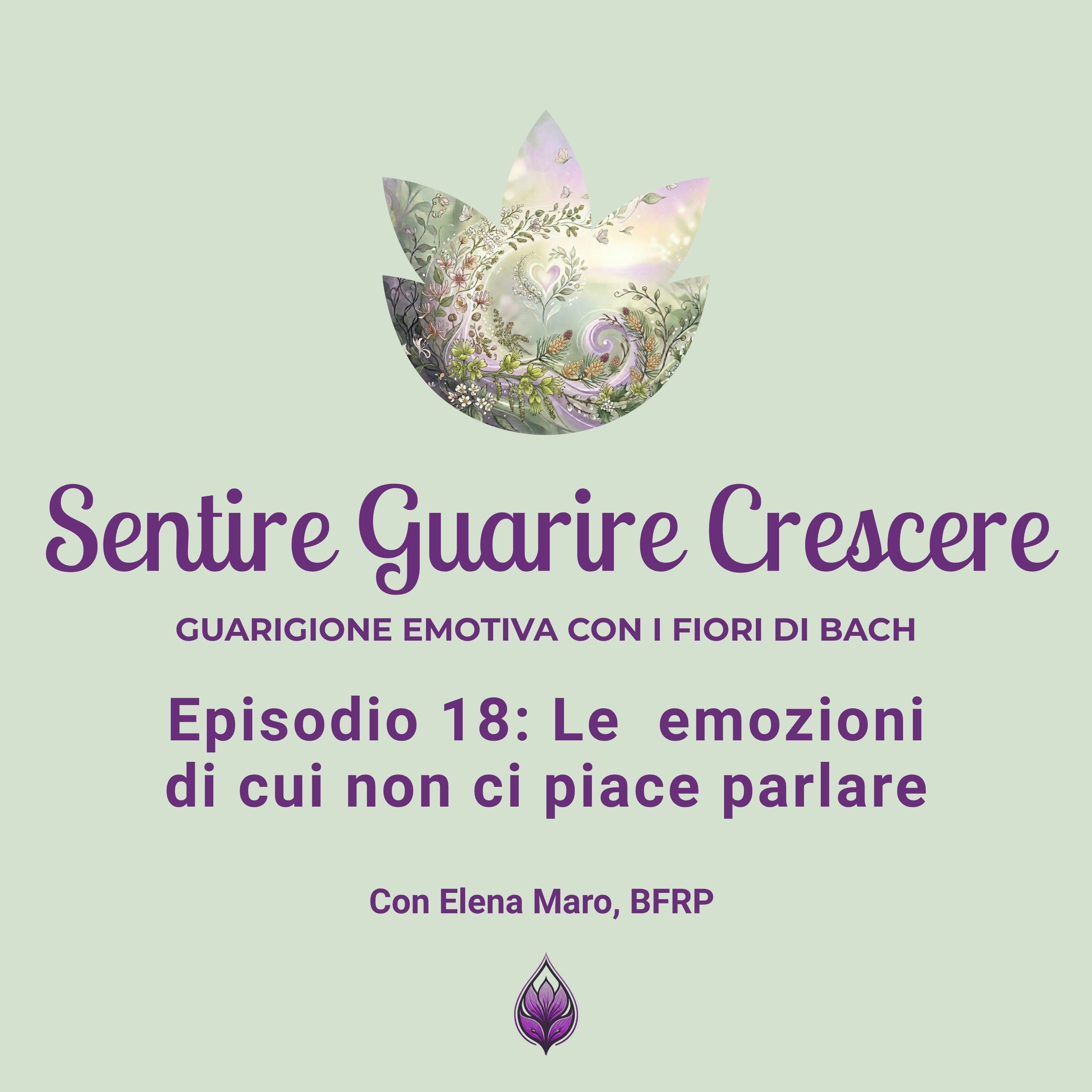 Le emozioni di cui non ci piace parlare episode artwork
