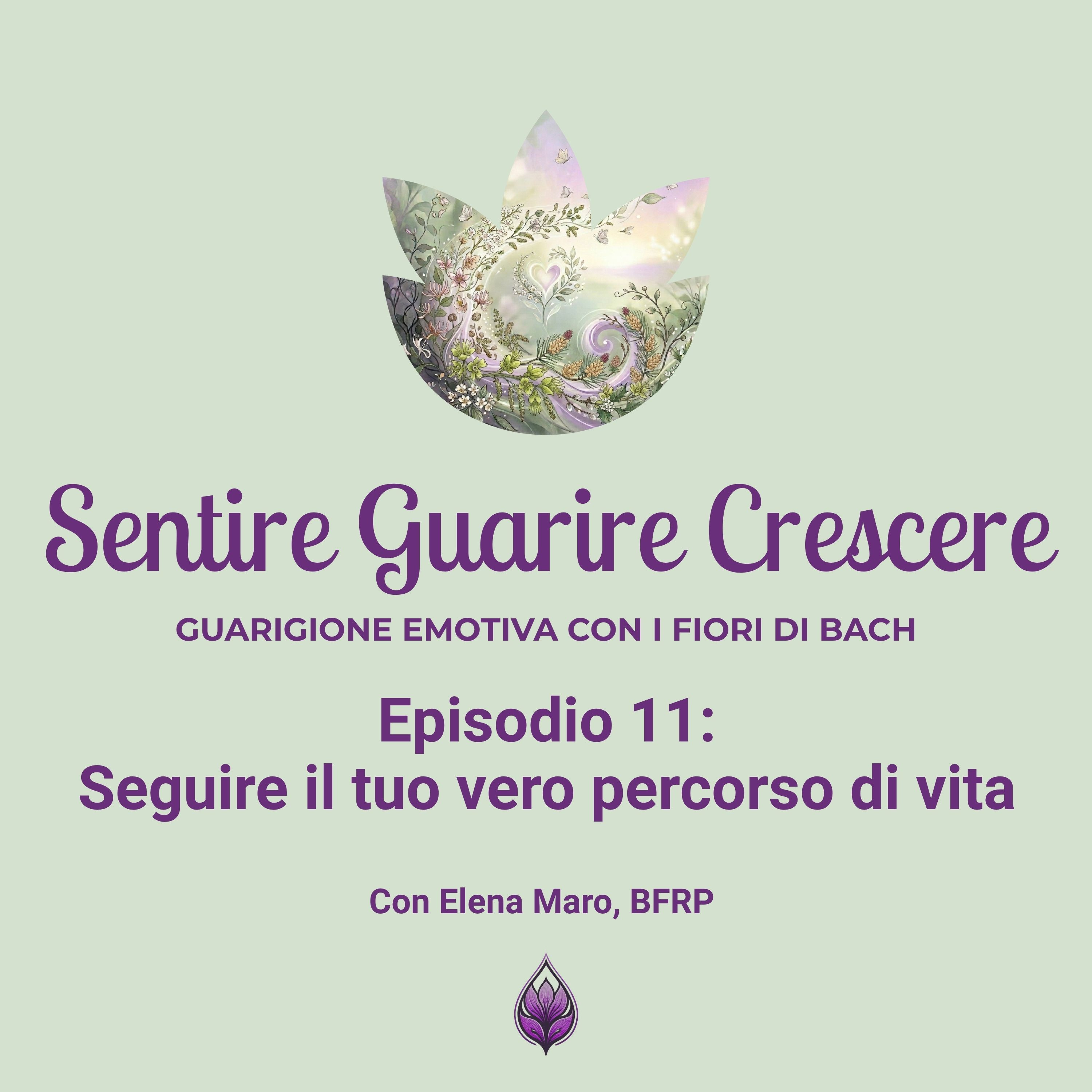 Segui il tuo vero percorso di vita episode artwork