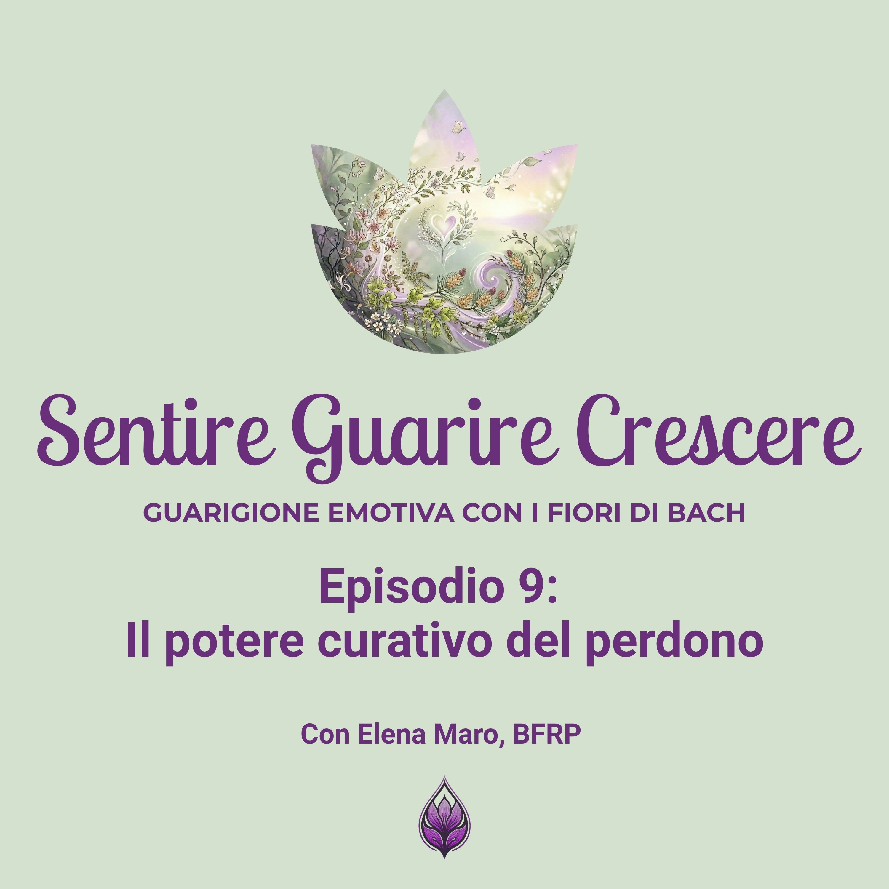 Il potere curativo del perdono episode artwork
