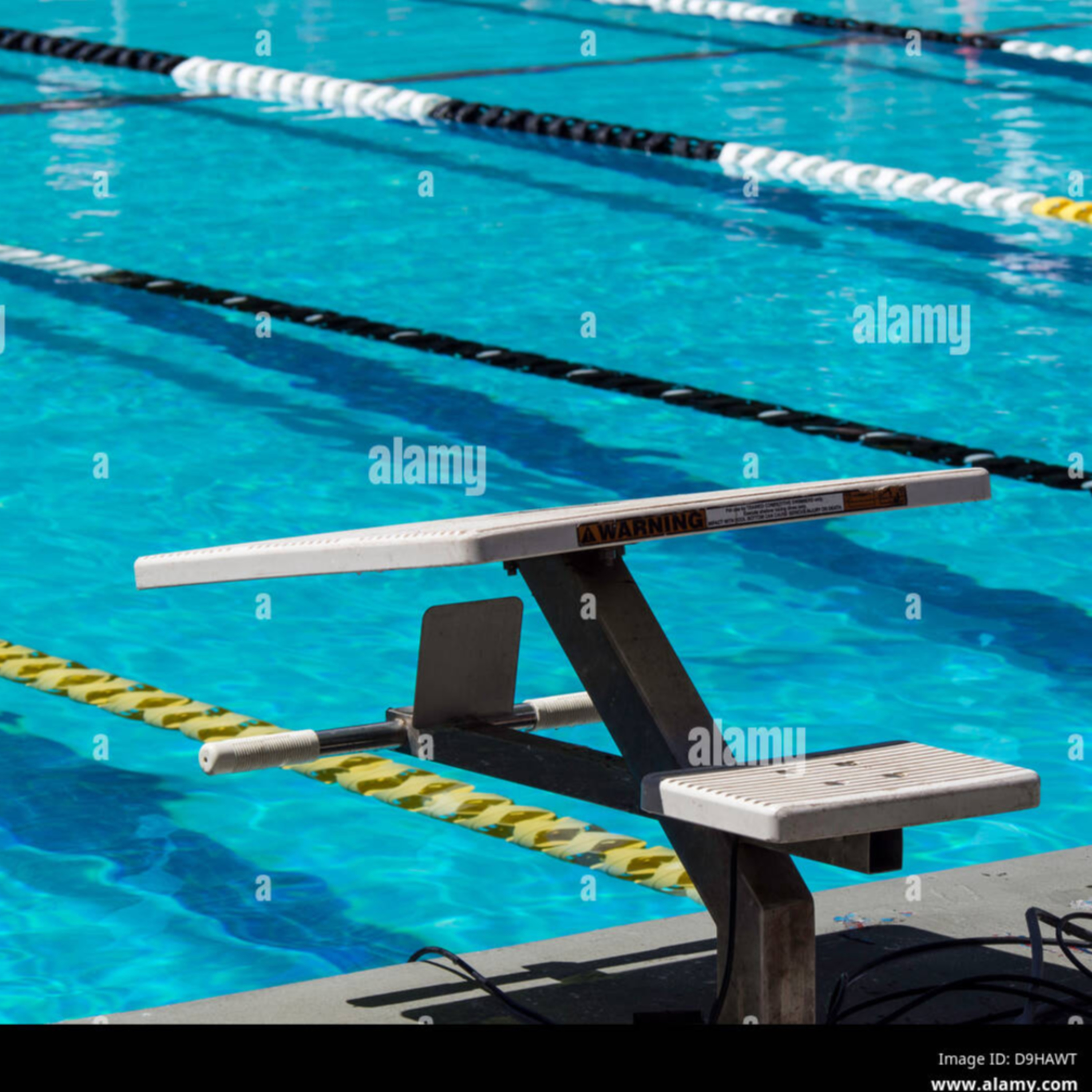 Why Swimming Reveals Everything episode artwork