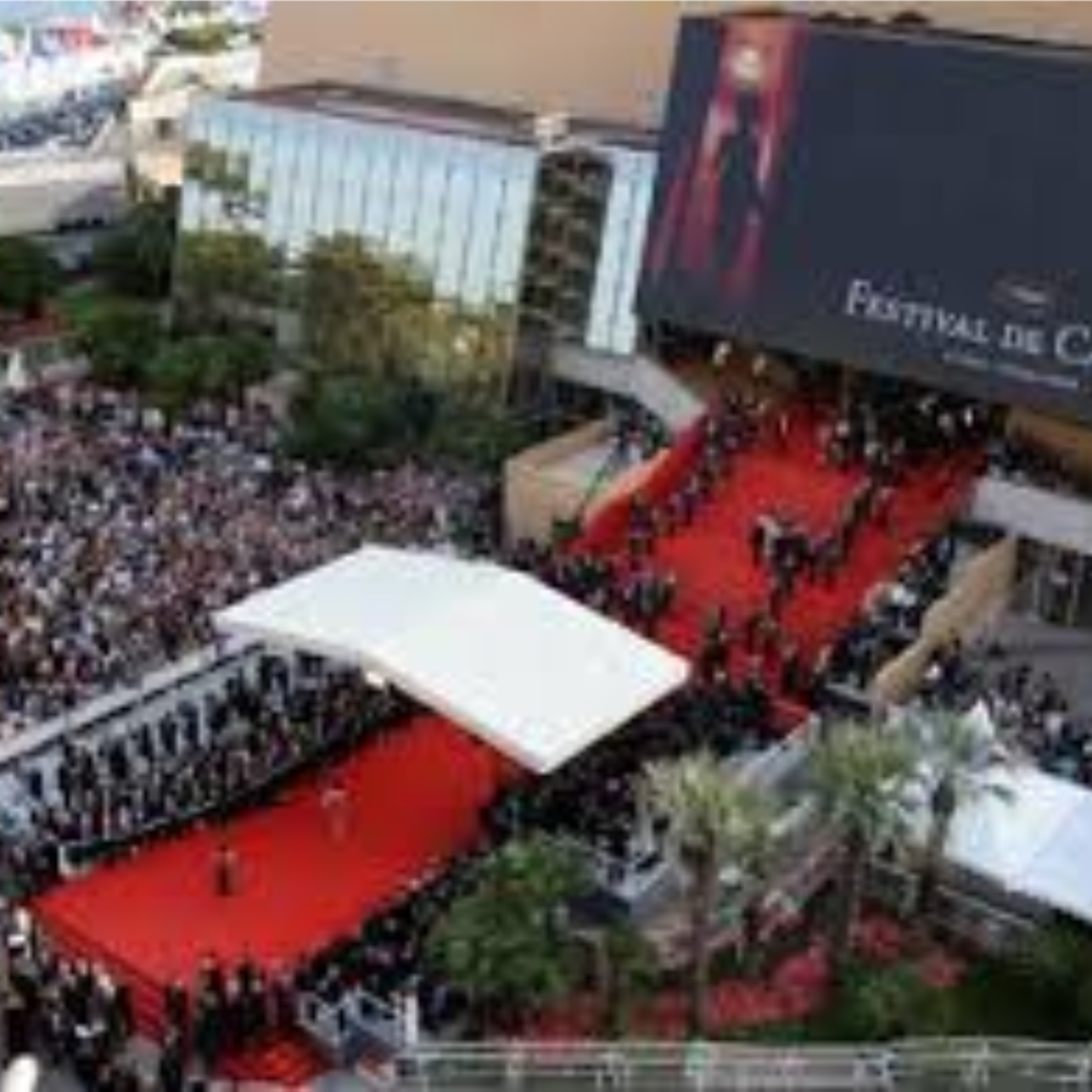 What Cannes Reveals Under Maximum Visibility episode artwork