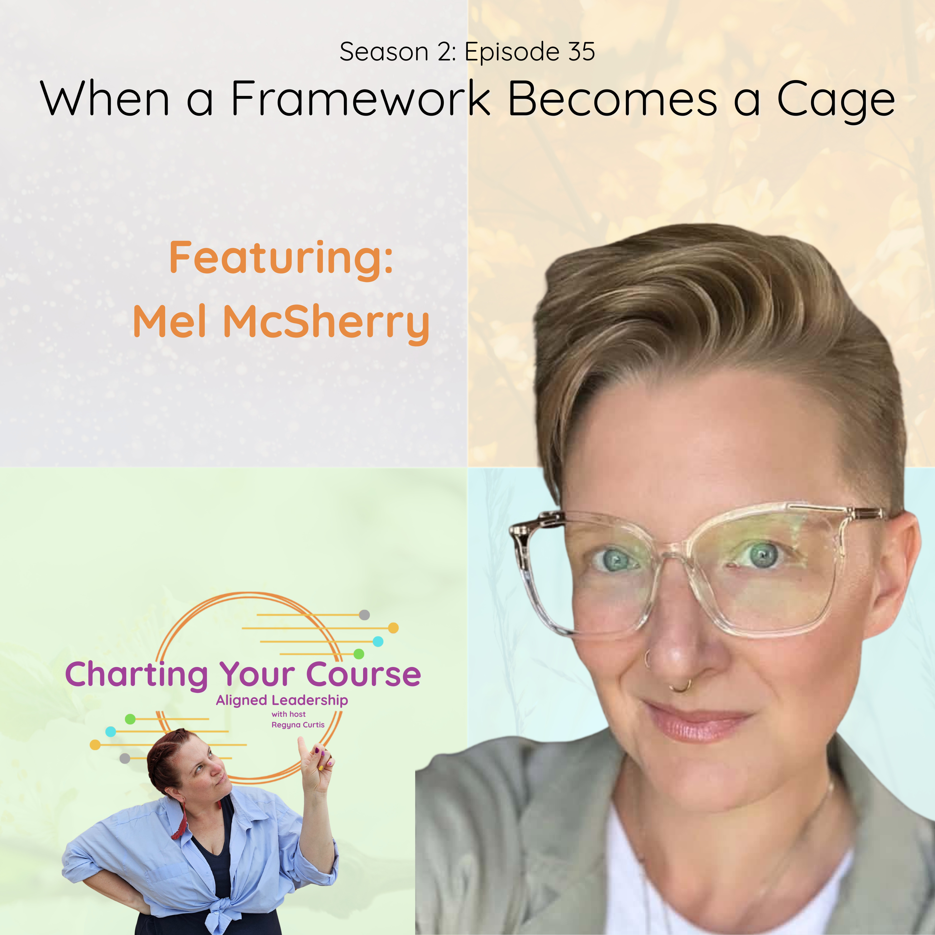 2.35_When a Framework Becomes a Cage with Mel McSherry episode artwork