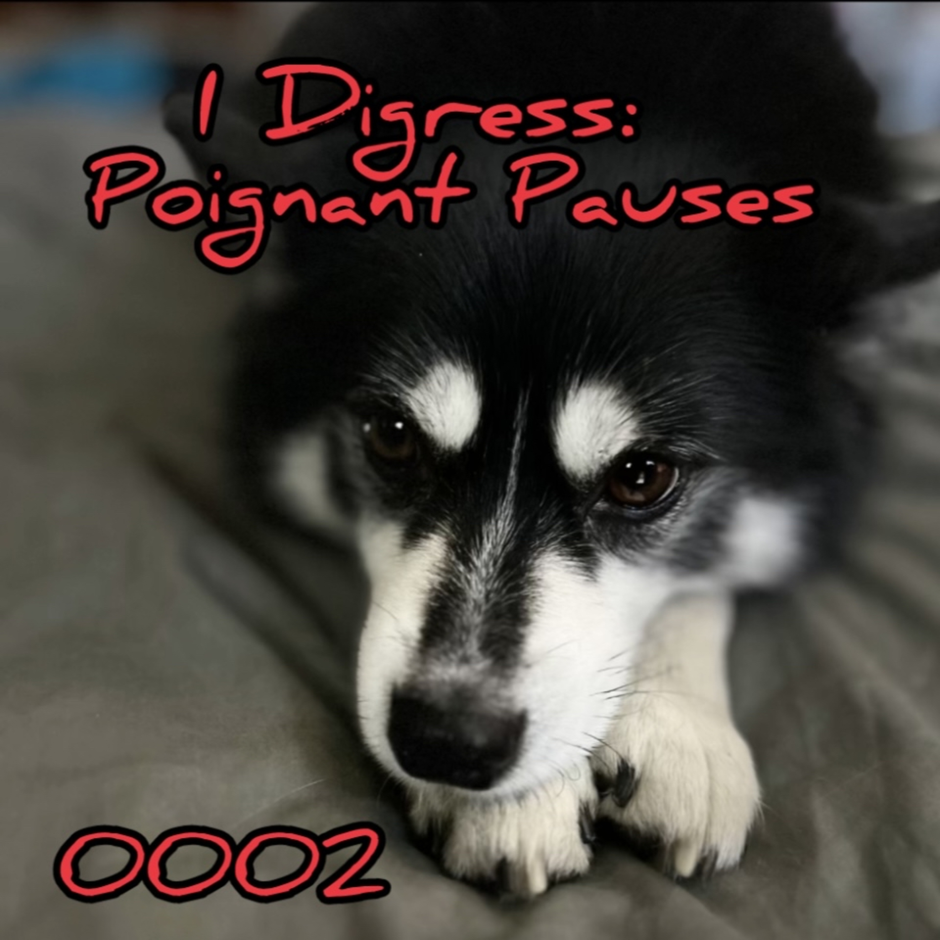 PoignantPauses0002 episode artwork