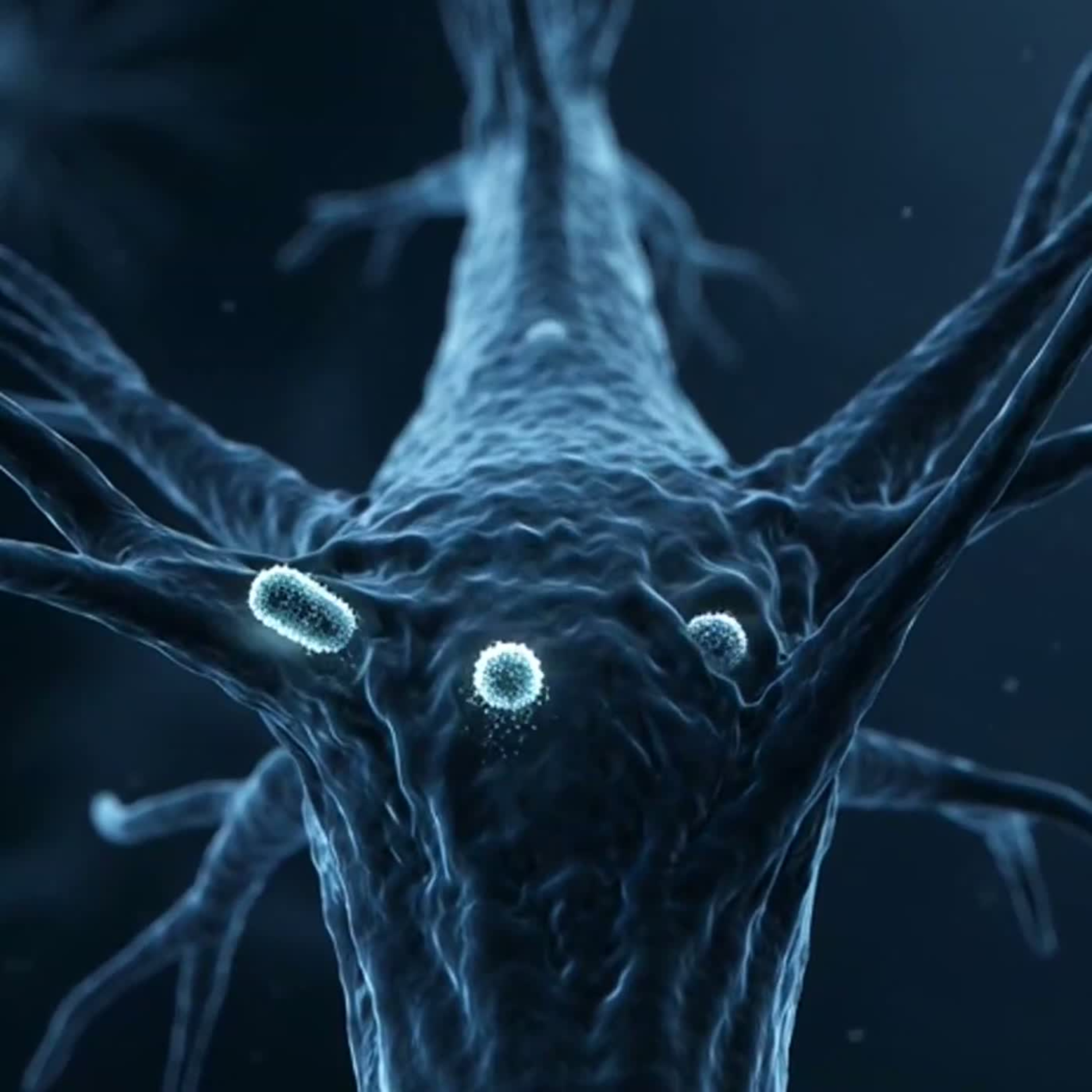 Brokkoli bei Multipler Sklerose: Das Endocannabinoid-System - MS Info Channel Podcast (Teil 3/8) episode artwork