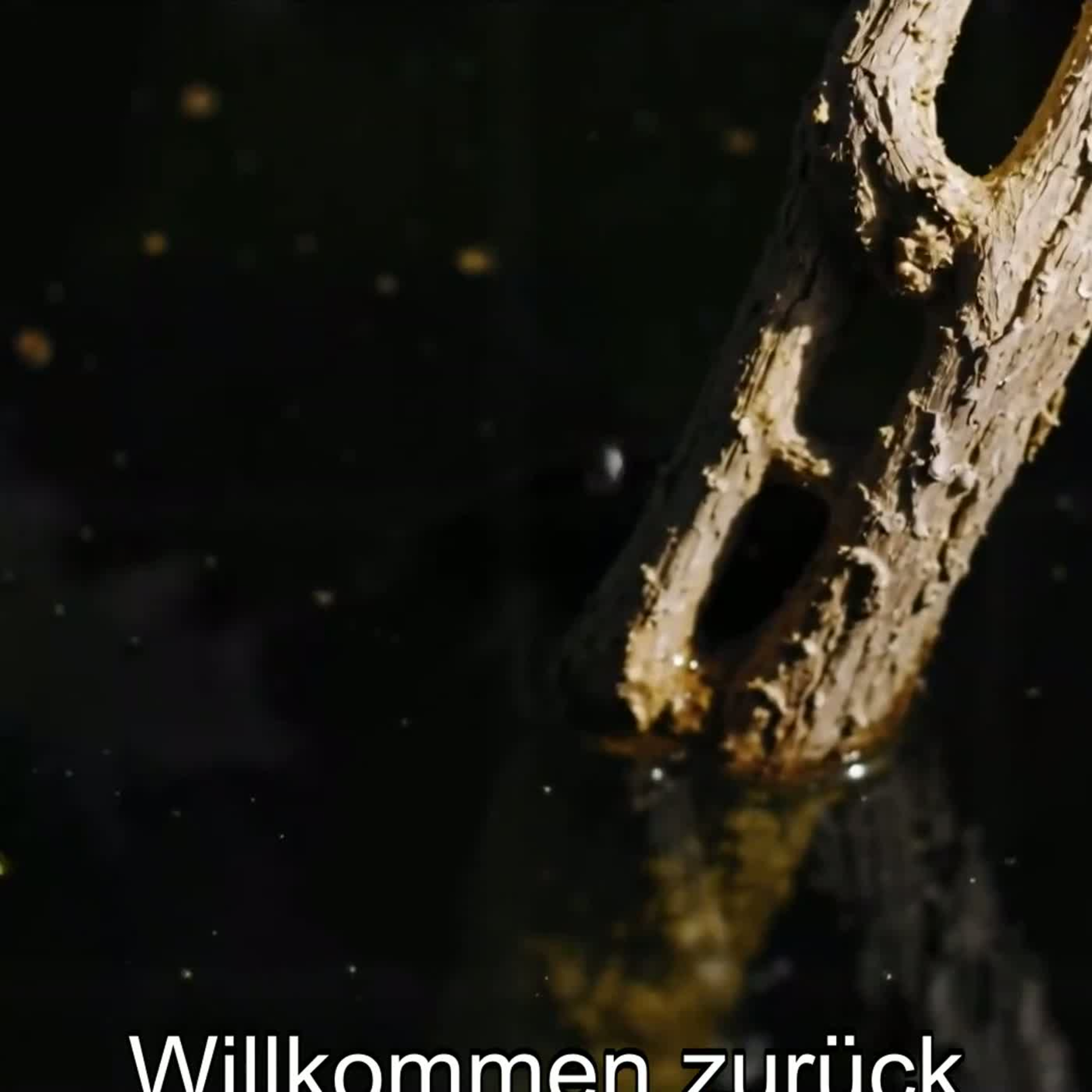 Teil 9/10 - Zusatzfaktoren, Genetik und Vitamin D bei MS - MS Info Channel Podcast episode artwork