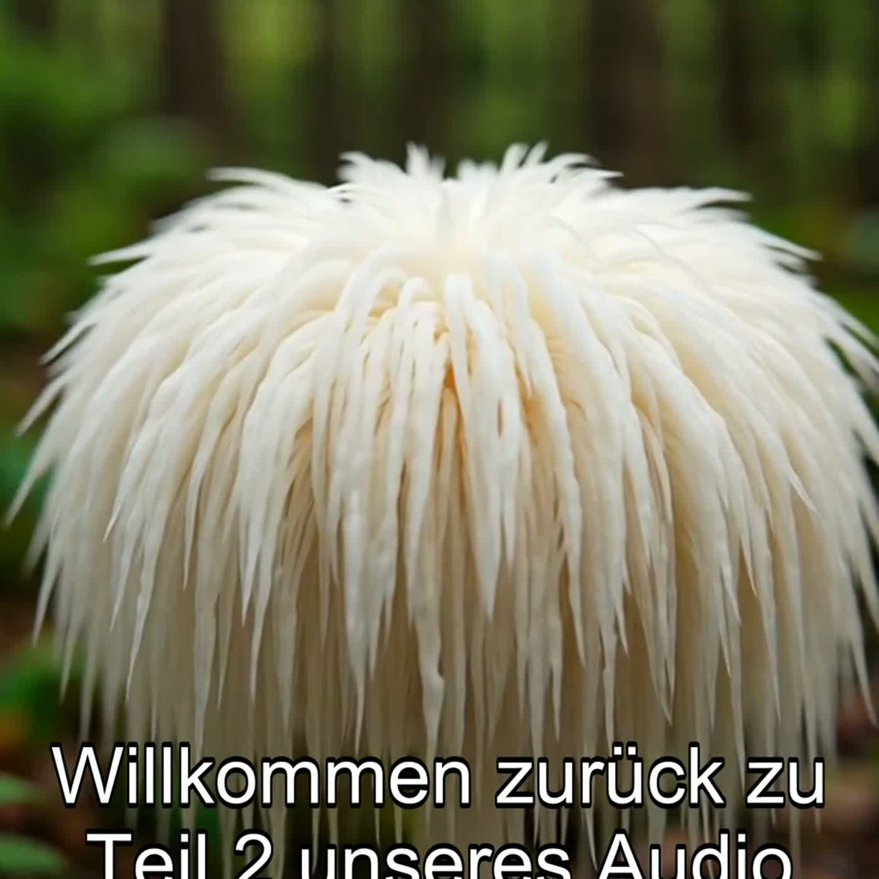 Teil 2/2 - Lions Mane: Bioaktive Wirkstoffe & ihre Rolle bei MS - MS Info Channel Podcast episode artwork