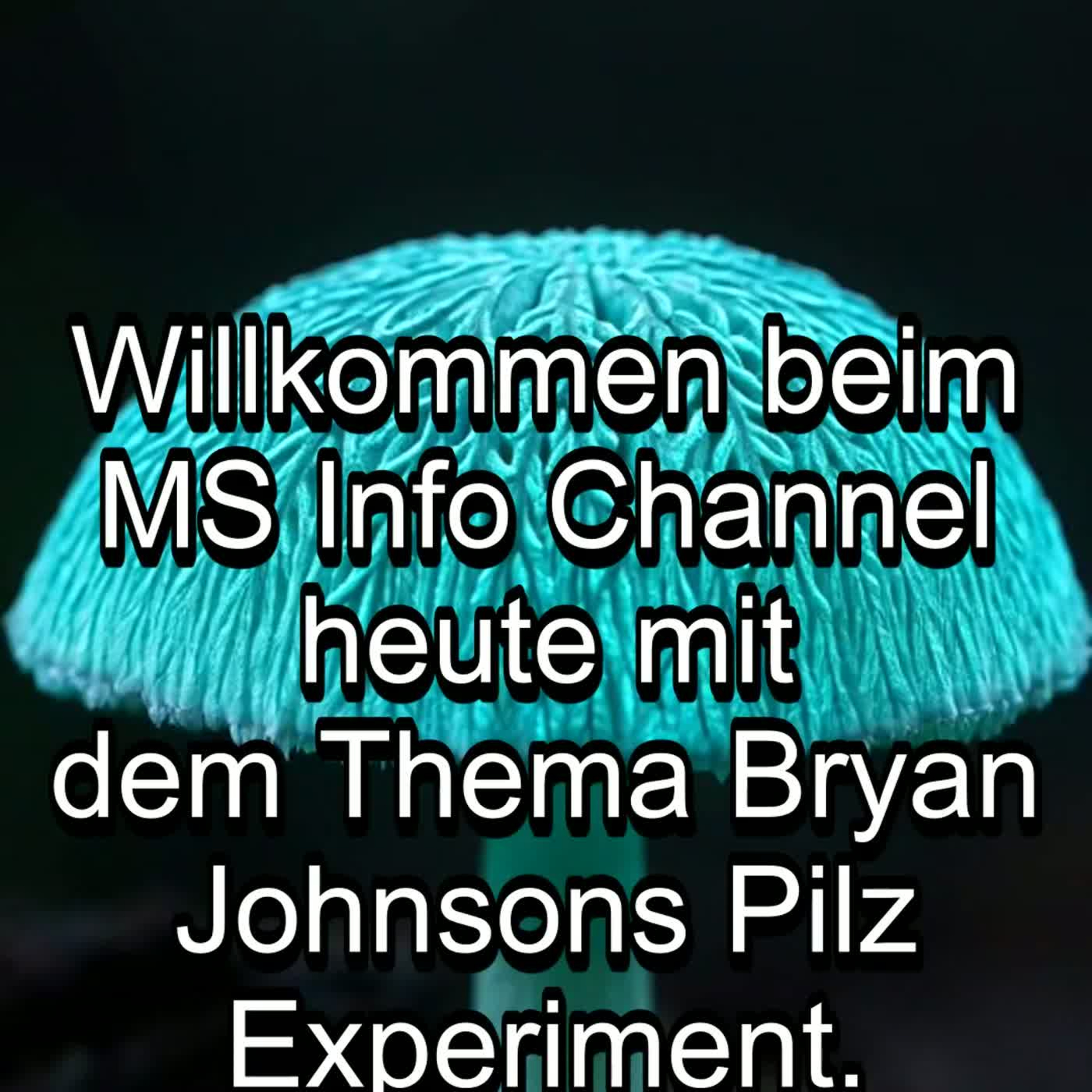 Teil 1/6 - Bryan Johnsons Pilz Experiment - MS Info Channel Podcast episode artwork