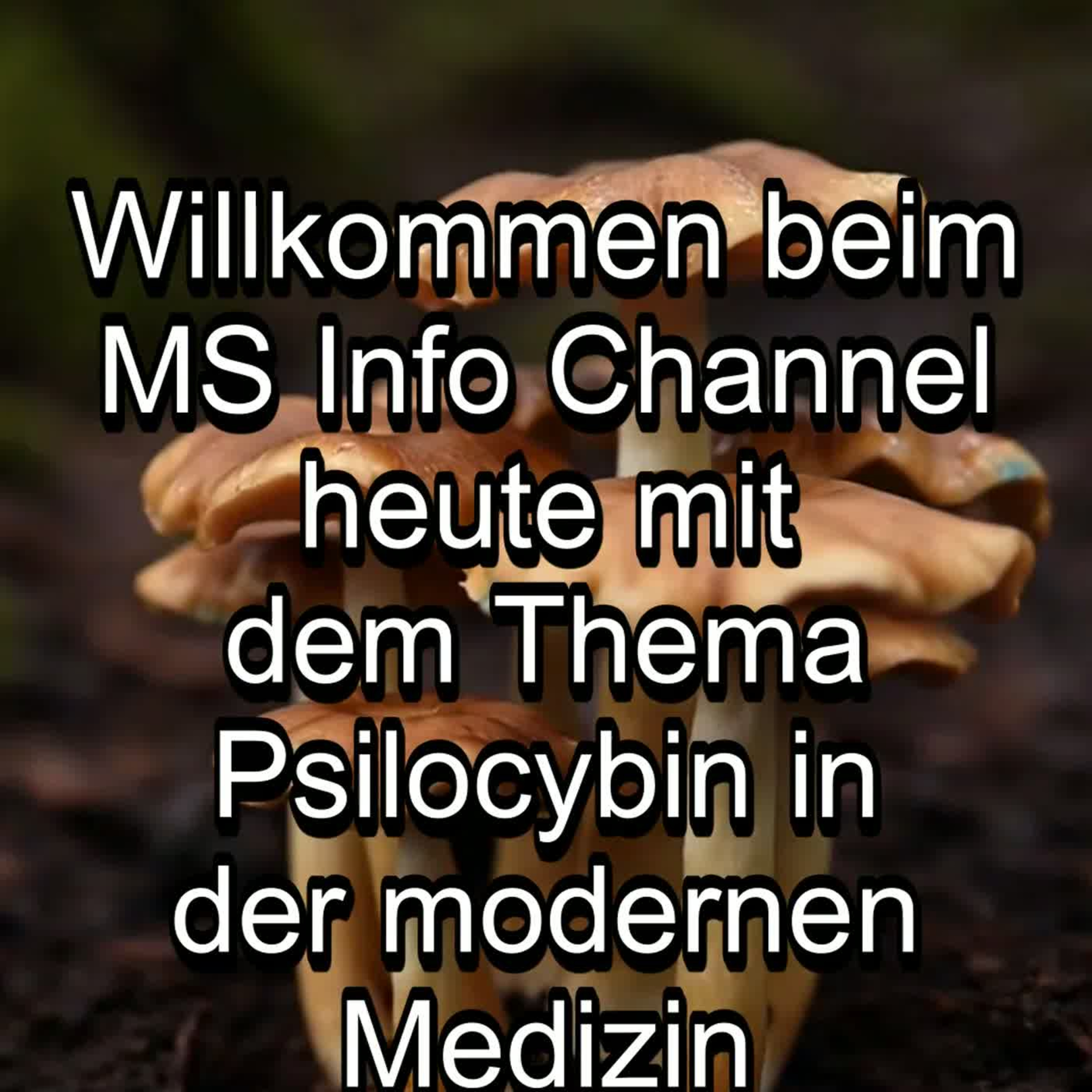 Teil 1/6 - Psilocybin in der modernen Medizin: Grundlagen & Comeback - MS Info Channel Podcast episode artwork