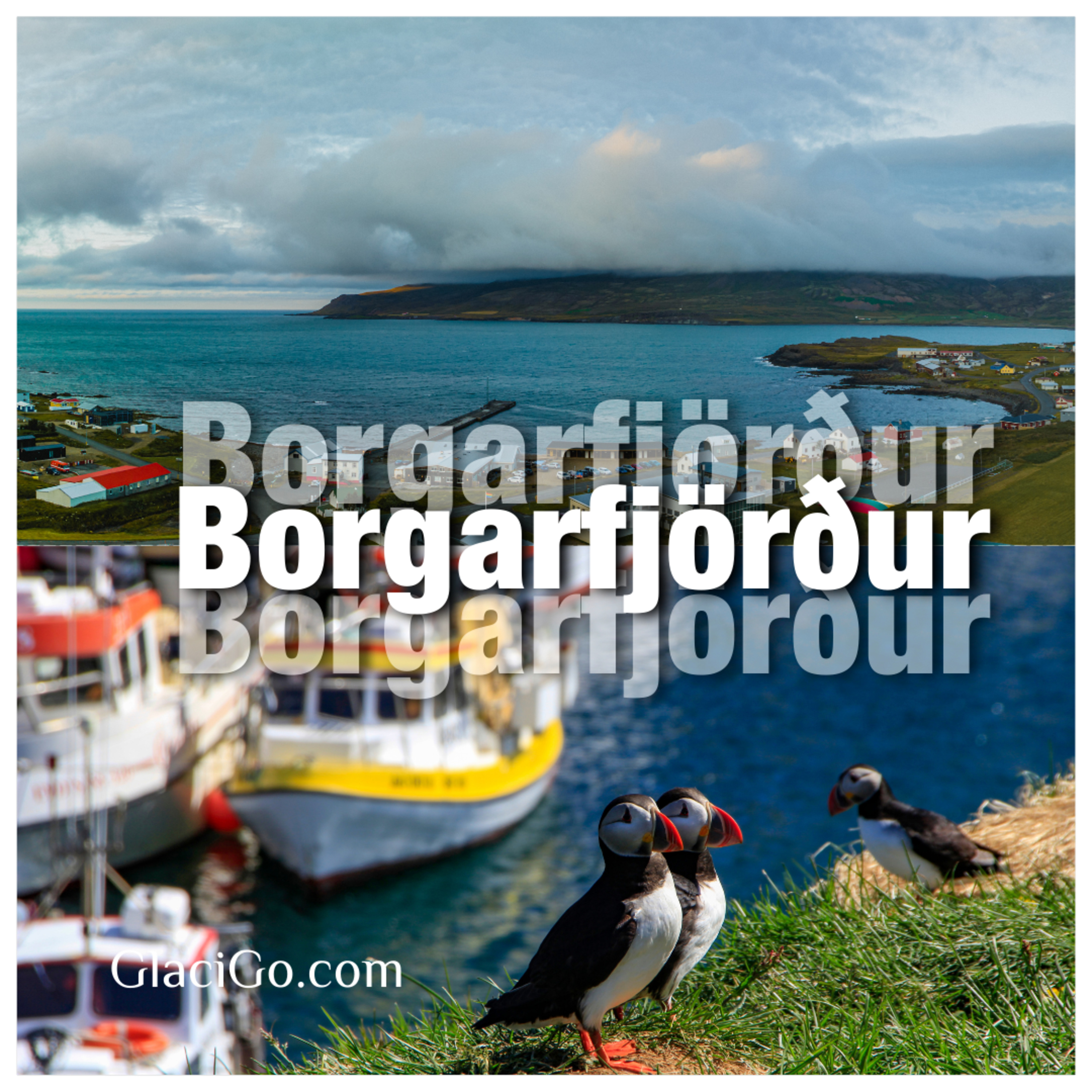 Borgarfjörður | Ruta del Círculo Plateado en el Oeste de Islandia Borgarfjordurur episode artwork