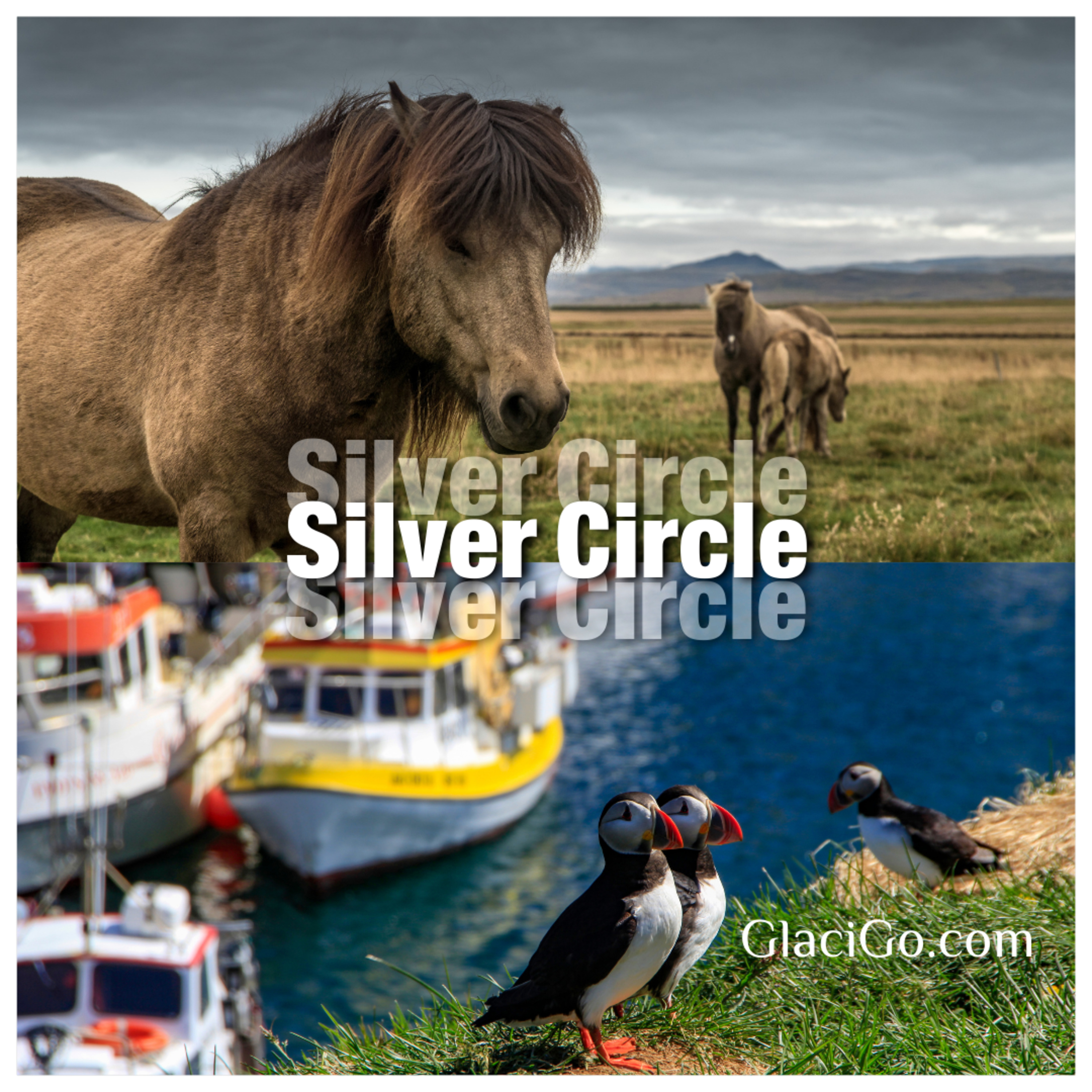 Silver Circle | Un viaje tranquilo por el oeste auténtico de Islandia episode artwork