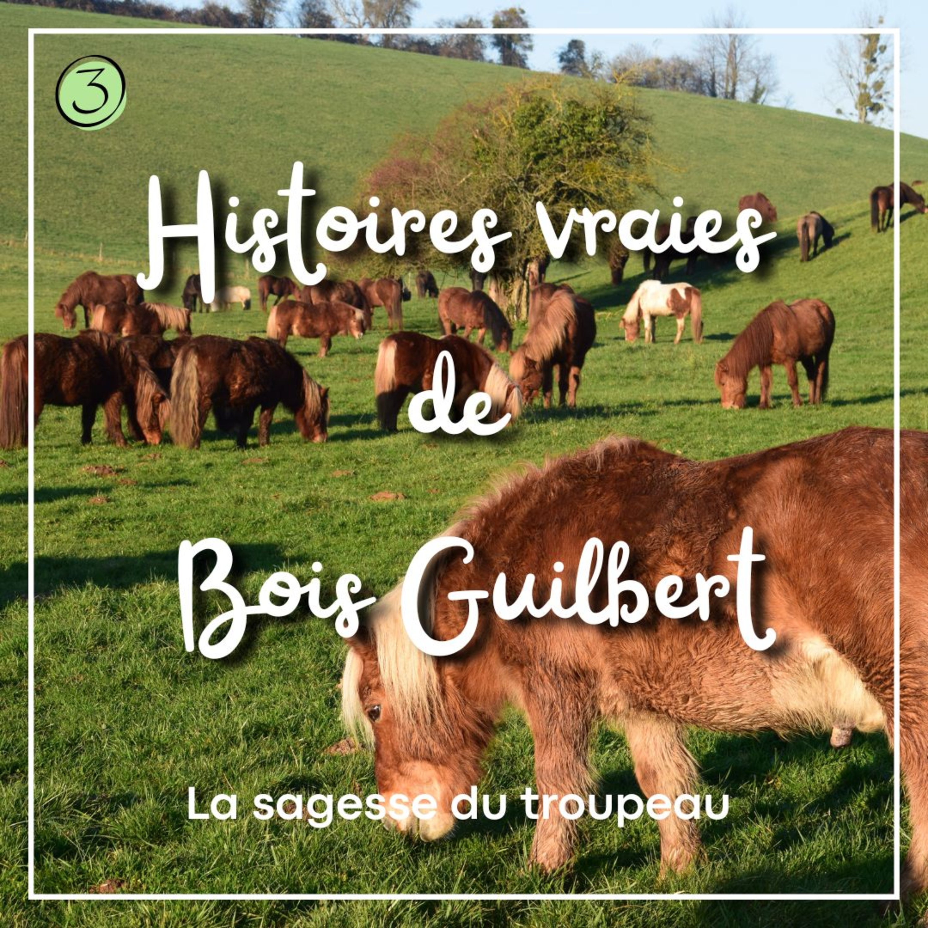 Episode 3 - La sagesse du troupeau  episode artwork