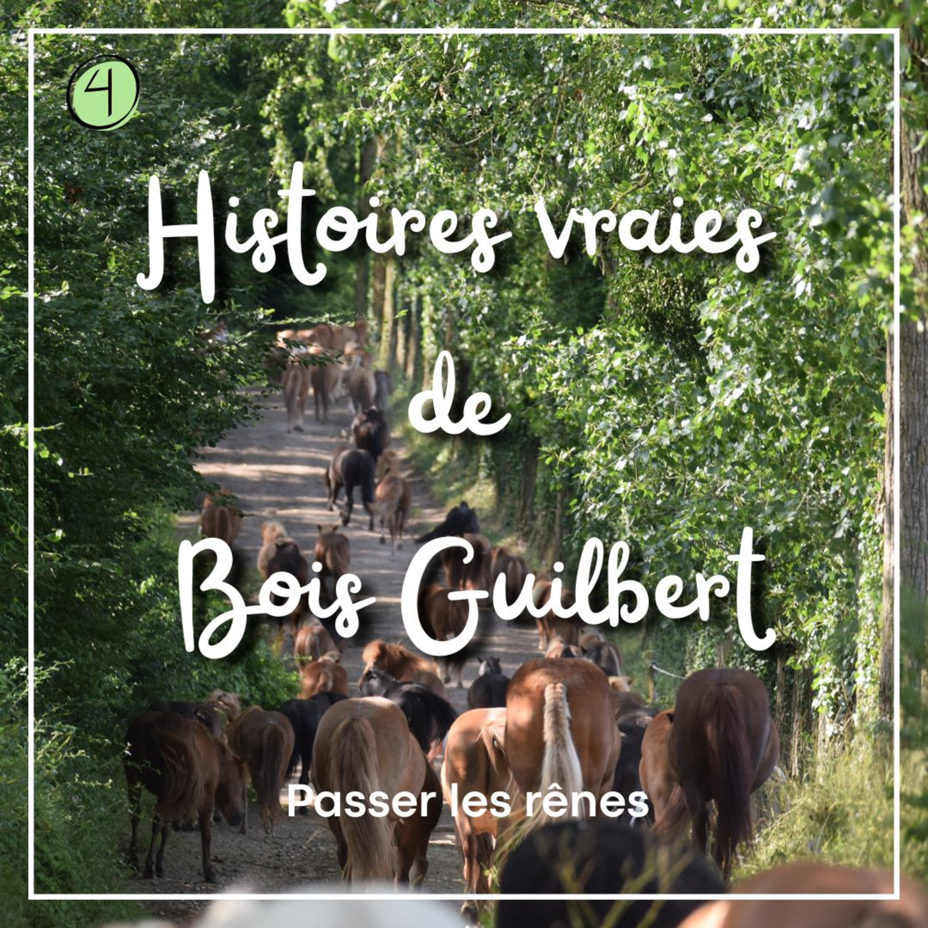 Episode 4 - Passer les rênes episode artwork