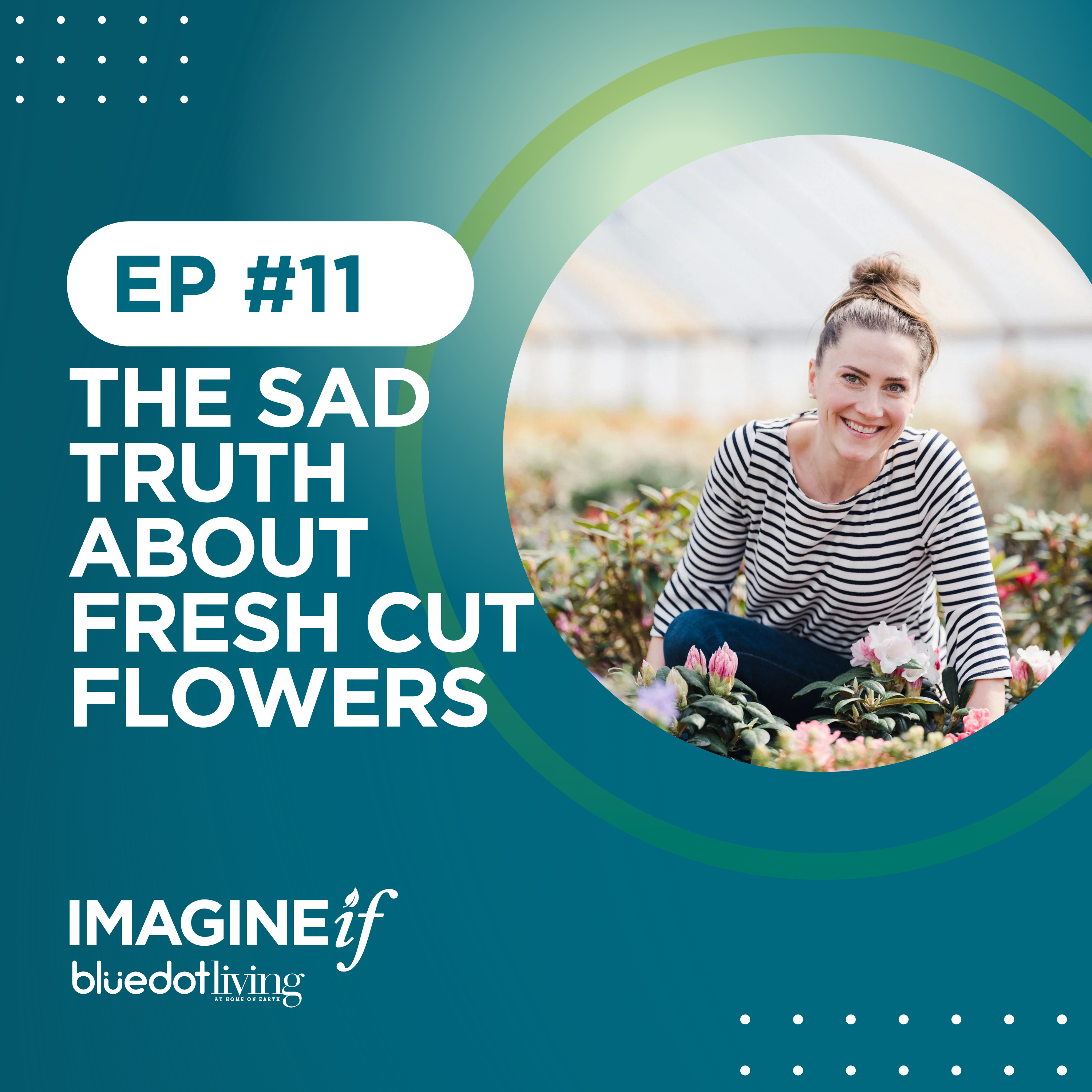 Imagine If... a Bluedot Living Podcast
