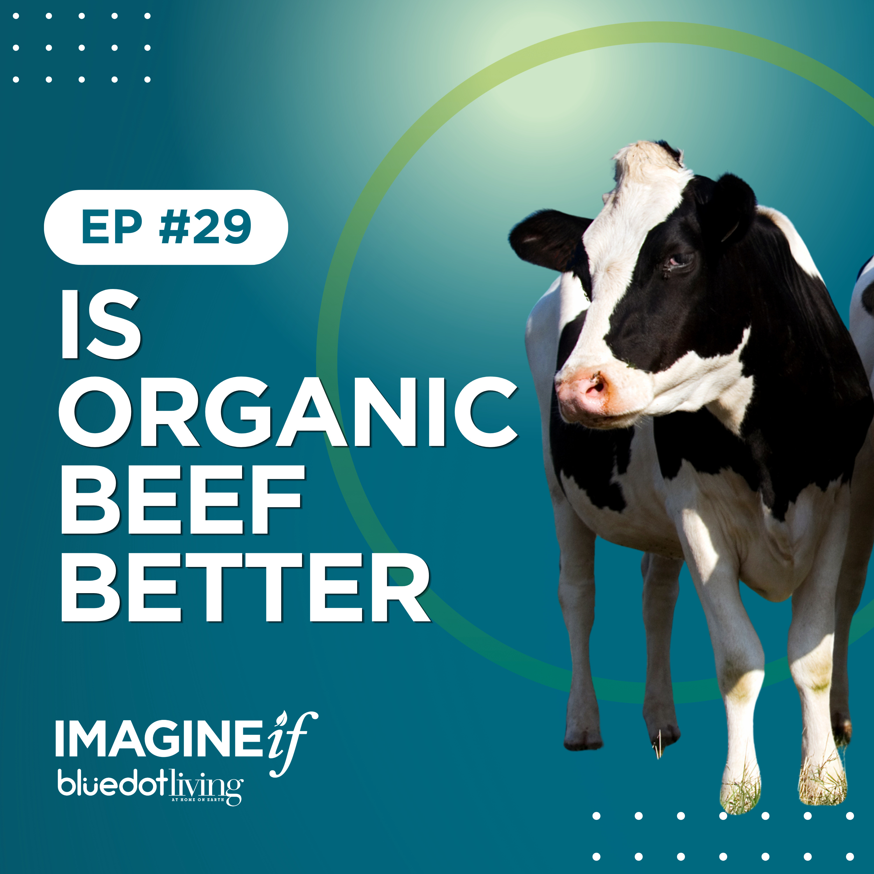 The Beef Paradox: Is Organic Beef Actually Better for the Planet Or Just a Smaller Version of the Same Problem? episode artwork