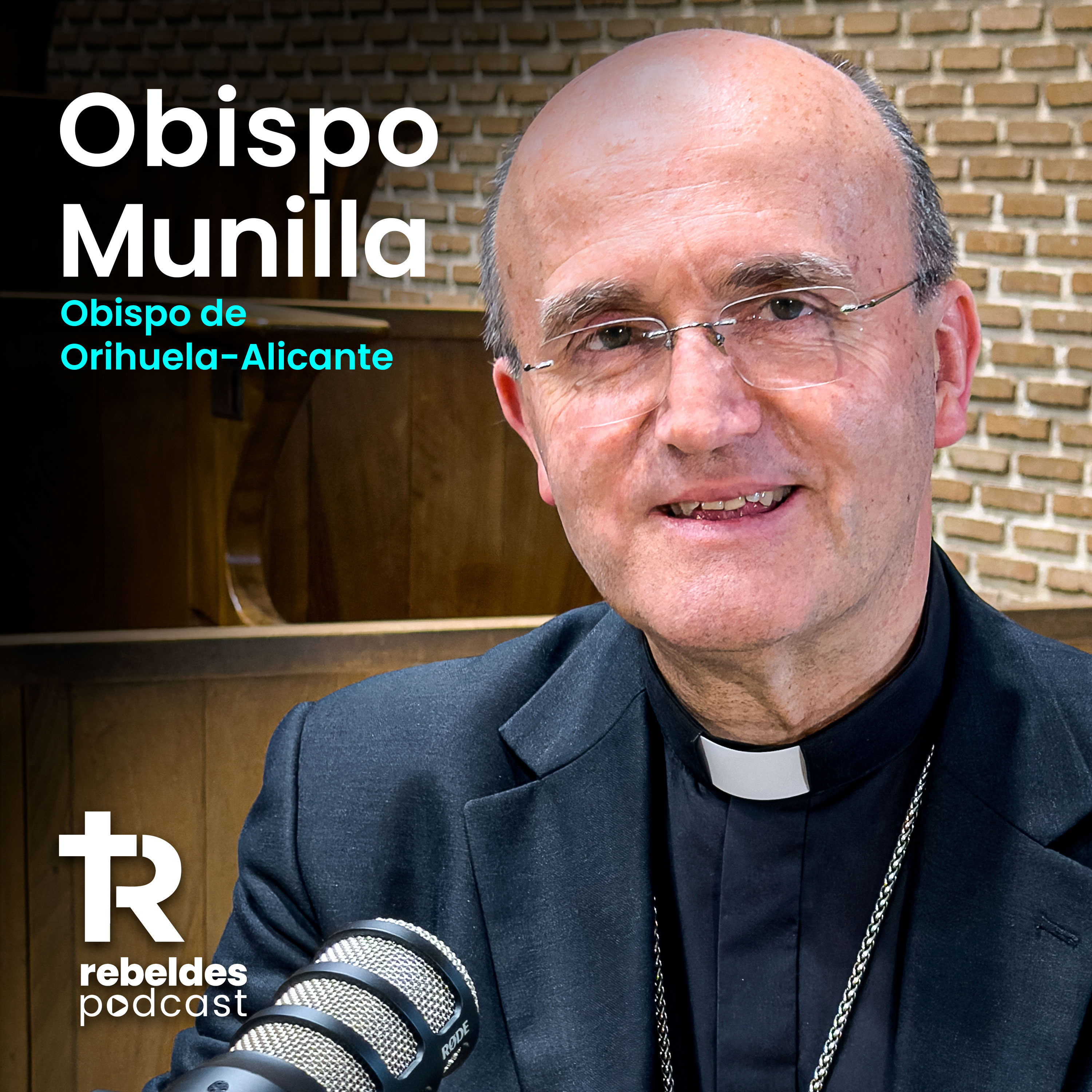 16. Monseñor Munilla: ¿Por qué nuestra generación tiene tanta ANSIEDAD? episode artwork