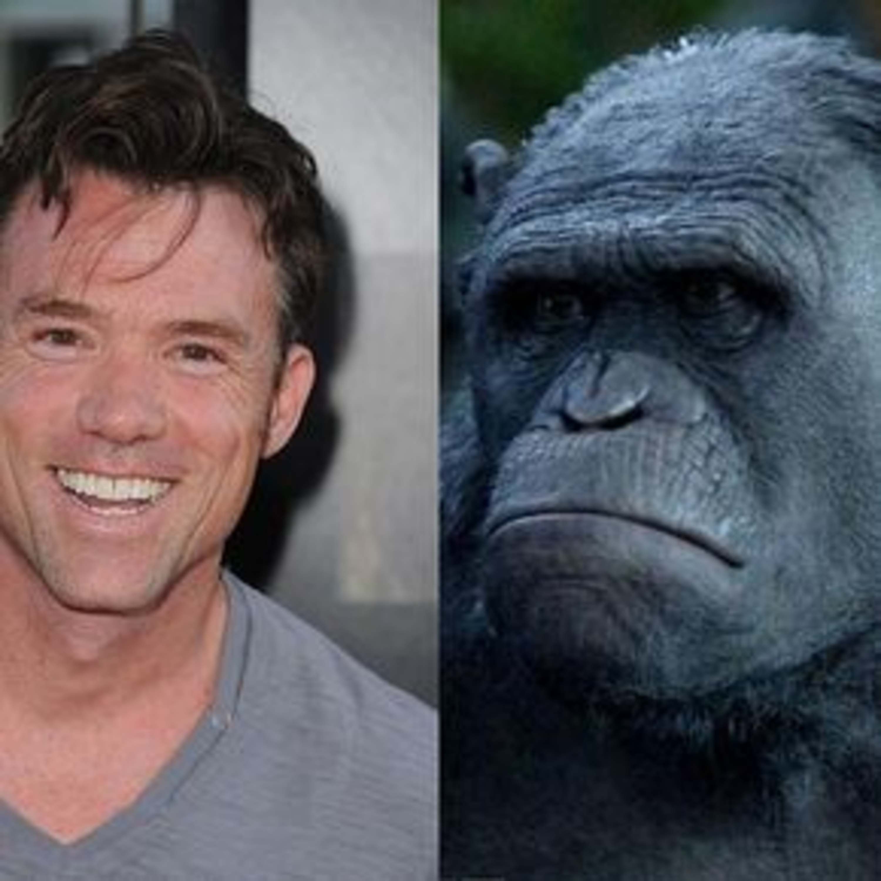 Episode 237 - Terry Notary - (War For The Planet Of The Apes - 2017). episode artwork