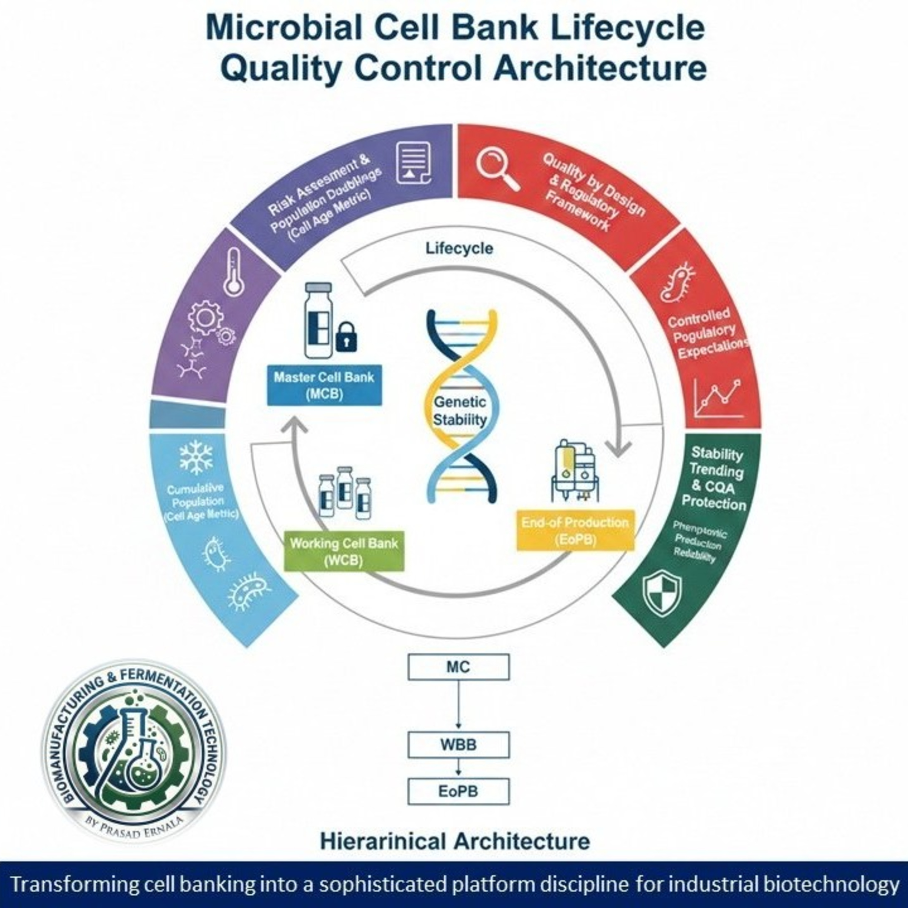 Microbial Cell Bank Lifecycle and Quality Control Architecture episode artwork