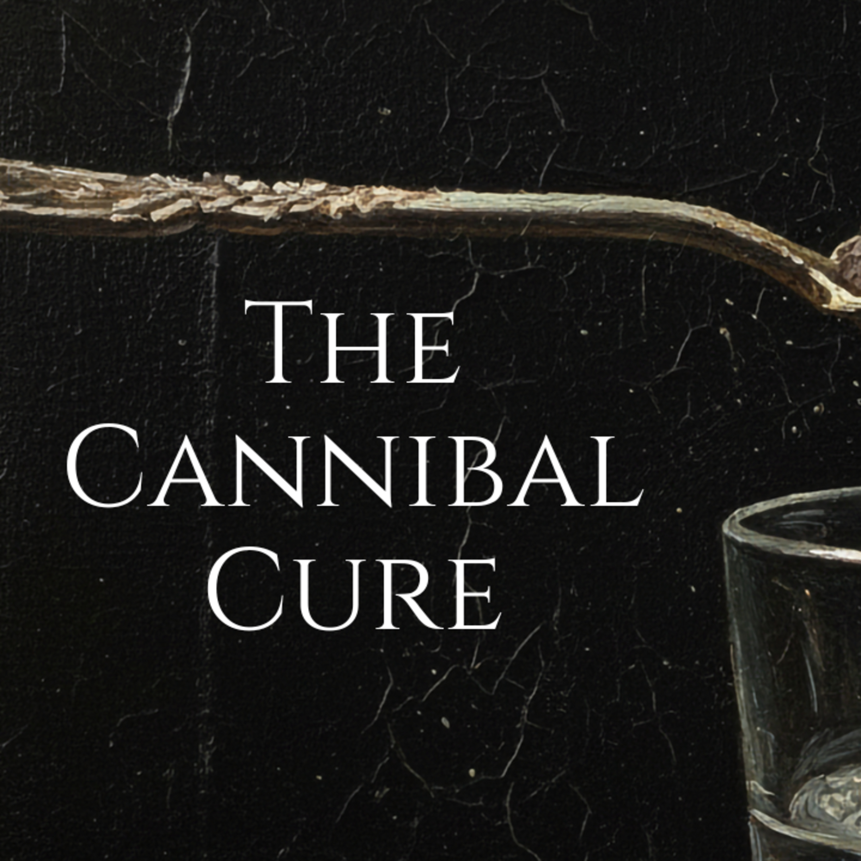 The Corpse Trade: When Doctors Prescribed Human Remains episode artwork