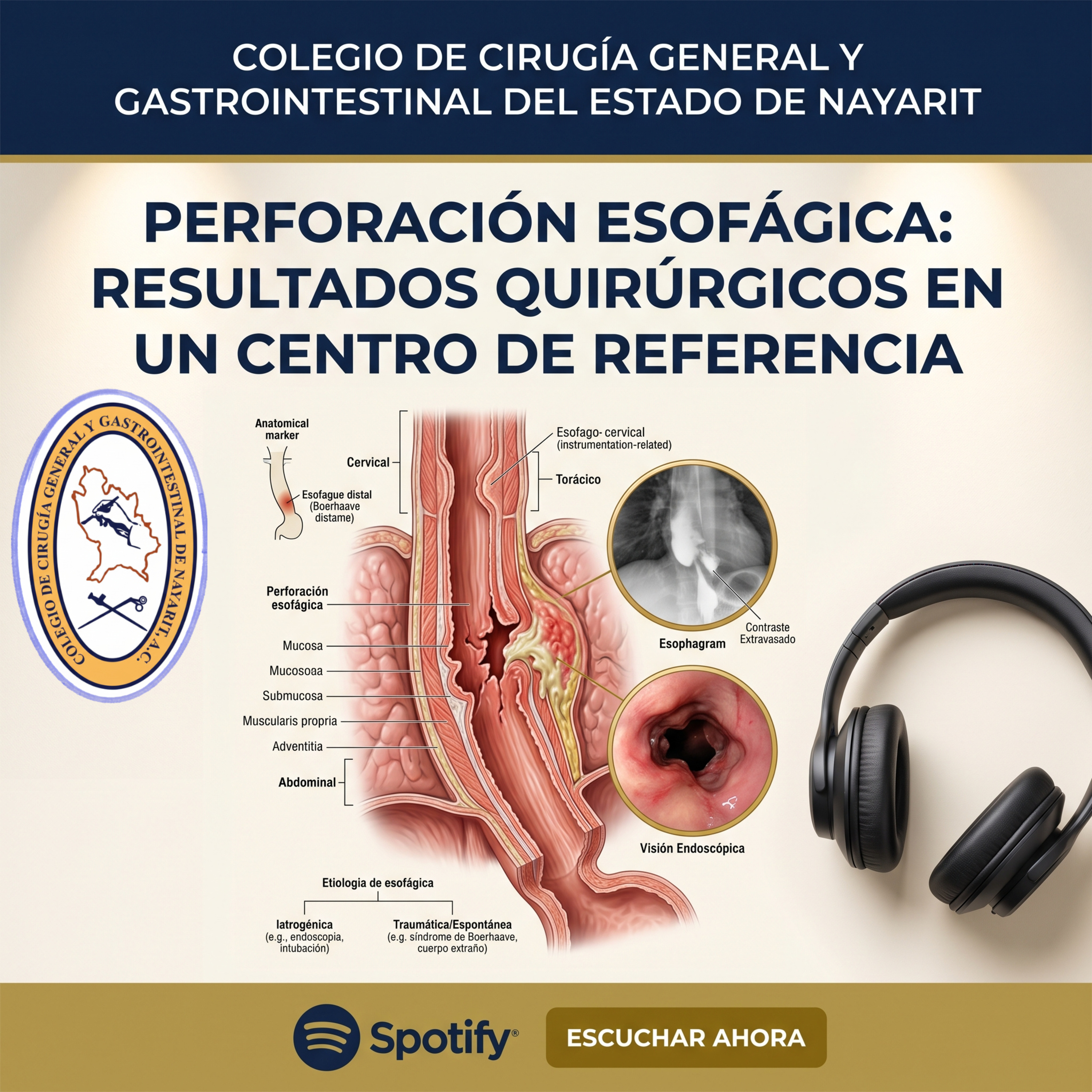 Perforación esofágica: resultados quirúrgicos en un centro de referencia episode artwork