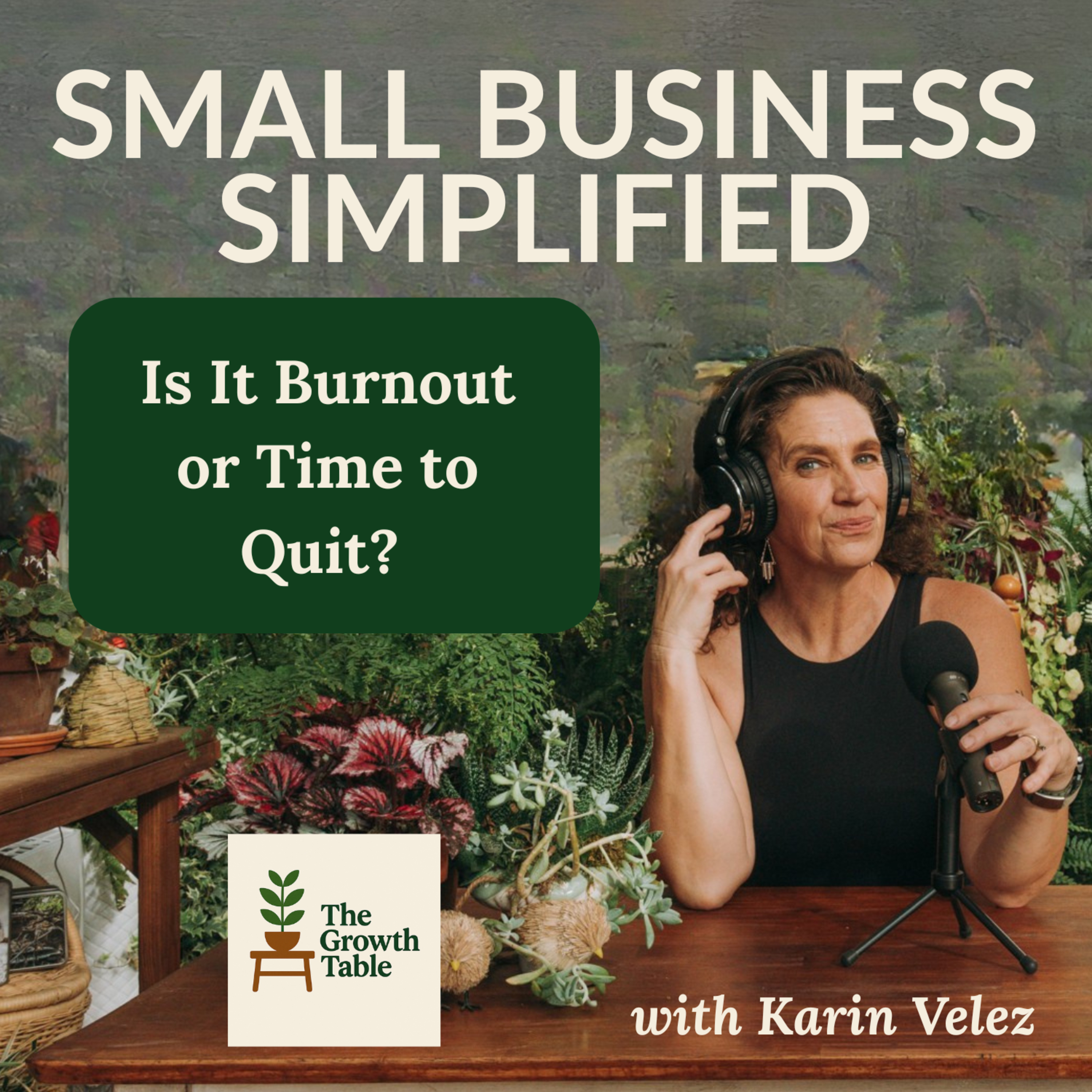 Is It Burnout or Time to Quit? - Ep. 28 episode artwork