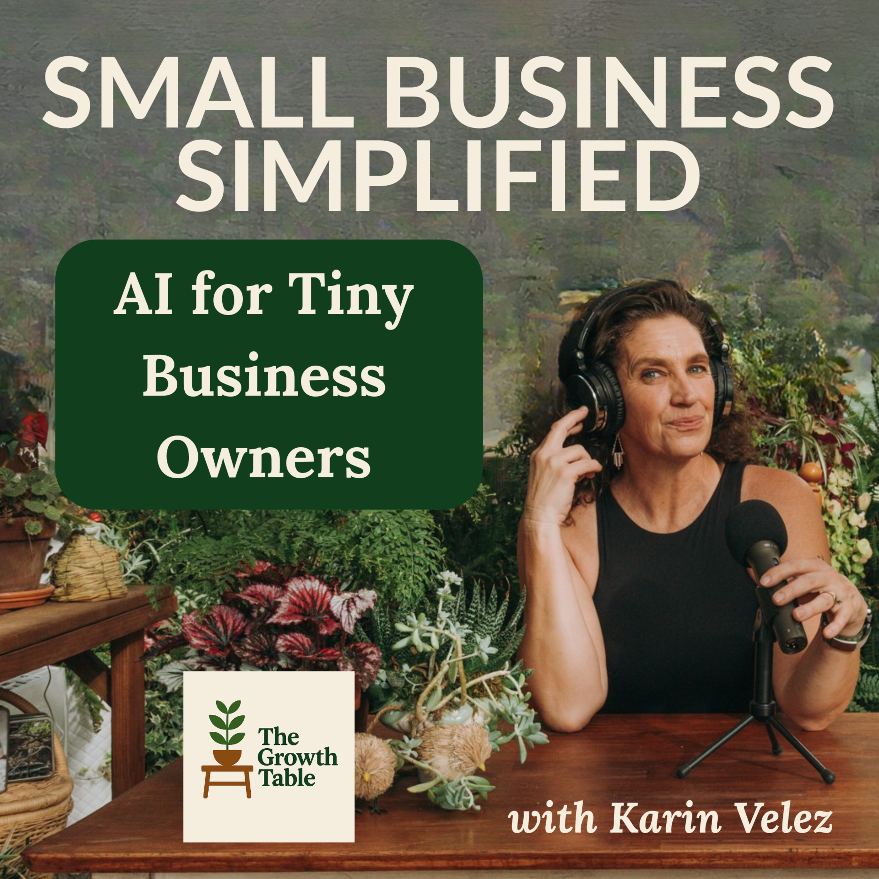 AI for Tiny Business Owners, Beyond Captions and Email Replies - Ep. 30 episode artwork