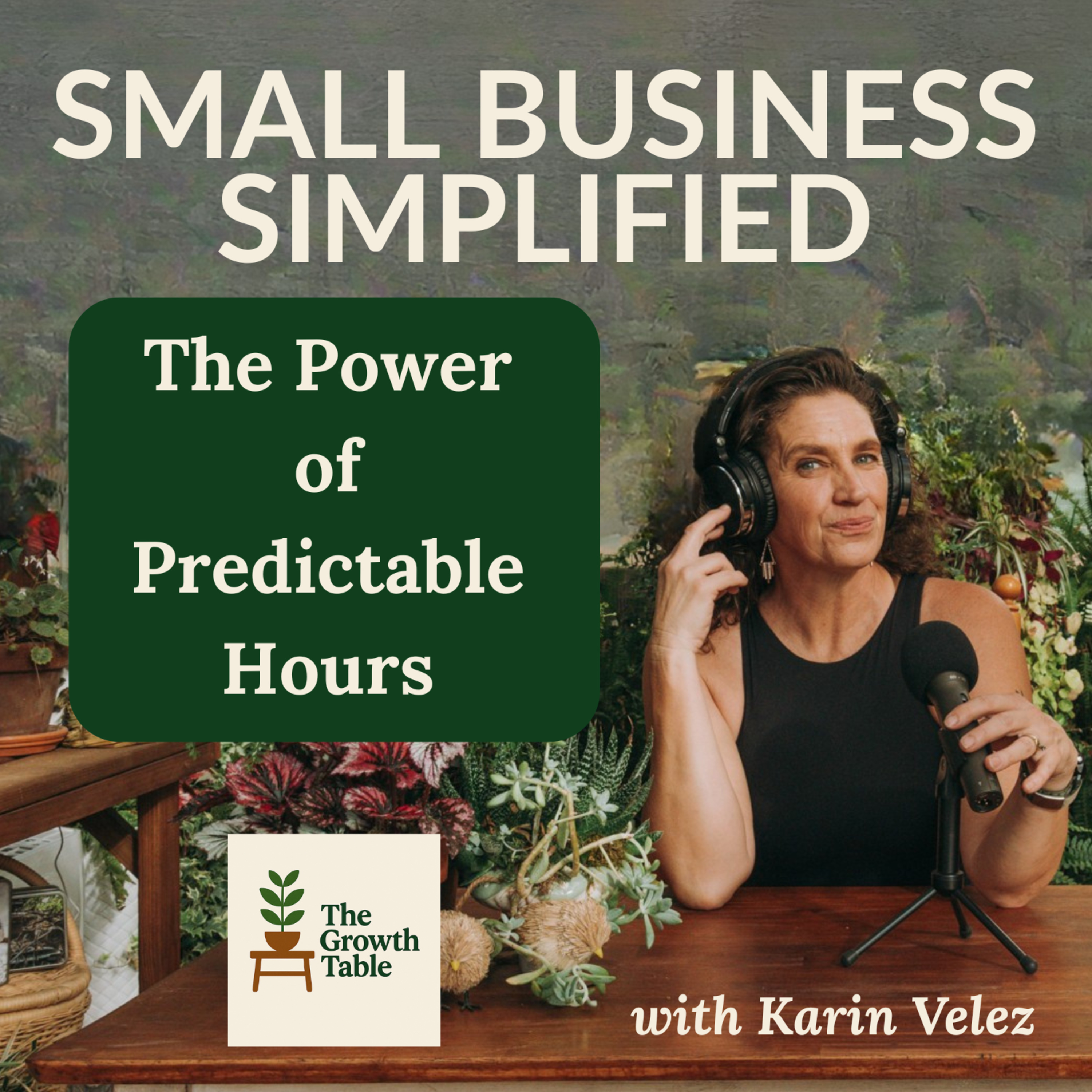 The Power of Predictable Work Hours in Your Business - Ep. 31 episode artwork