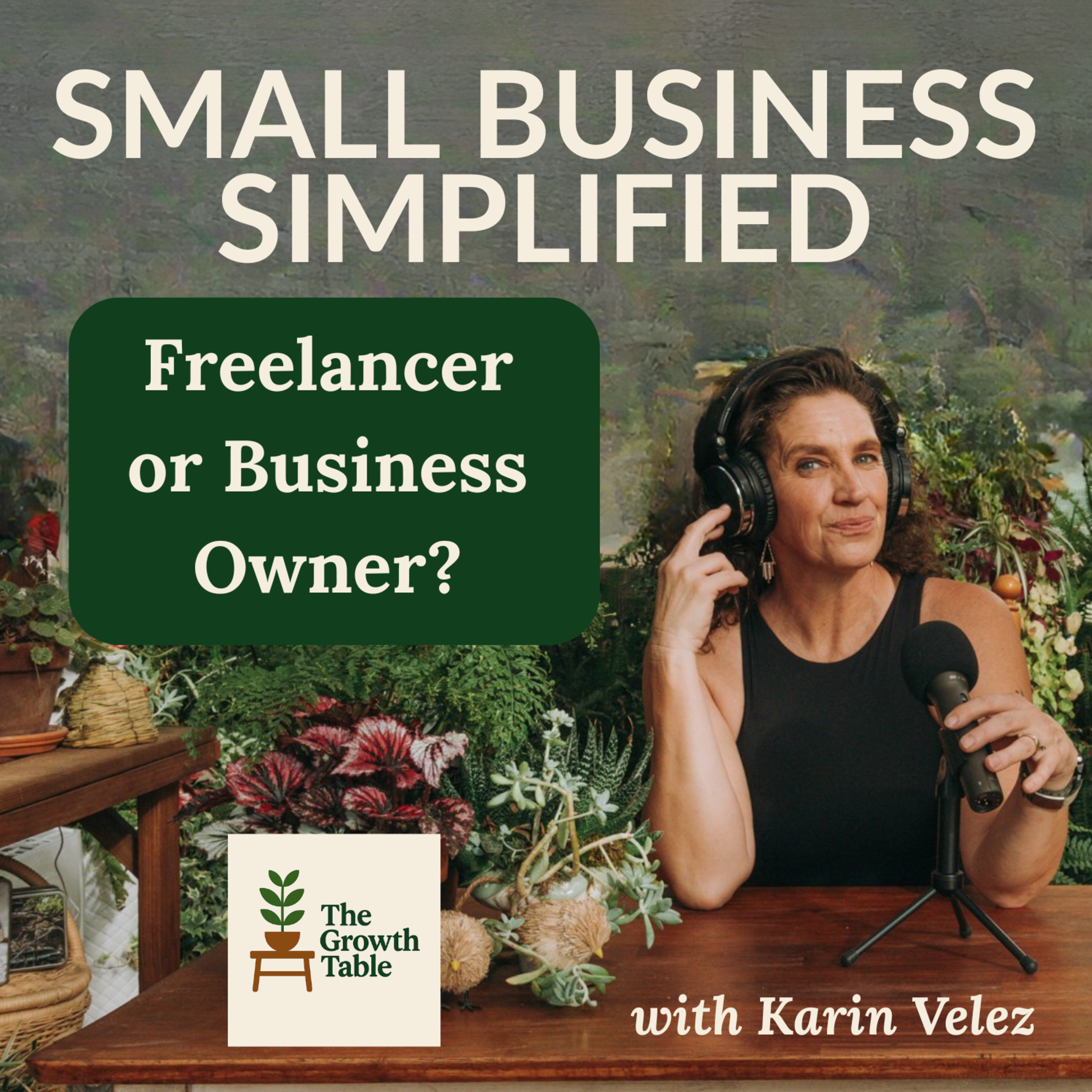 Freelancer or Business Owner: Which One Are You? - Ep. 32 episode artwork