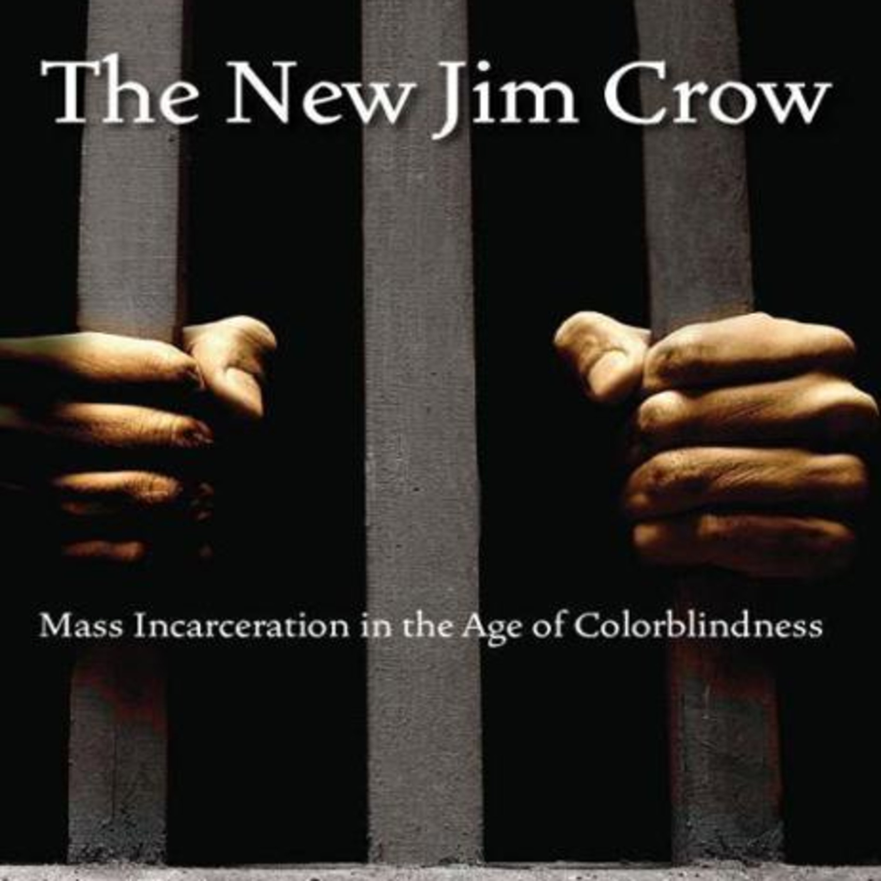 The New Jim Crow — Deep Dive (Mass Incarceration & Structural Inequality)